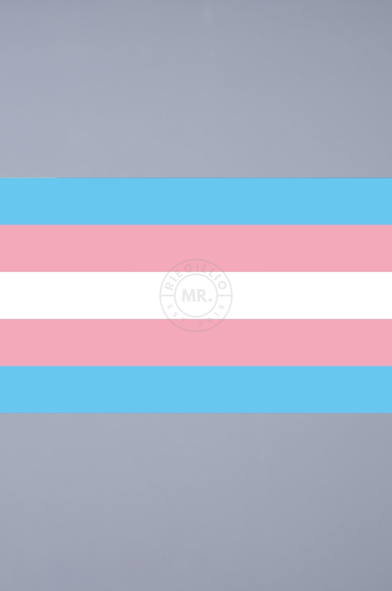 Pride Flag - Transgender - 90 x 150 cm at MR. Riegillio