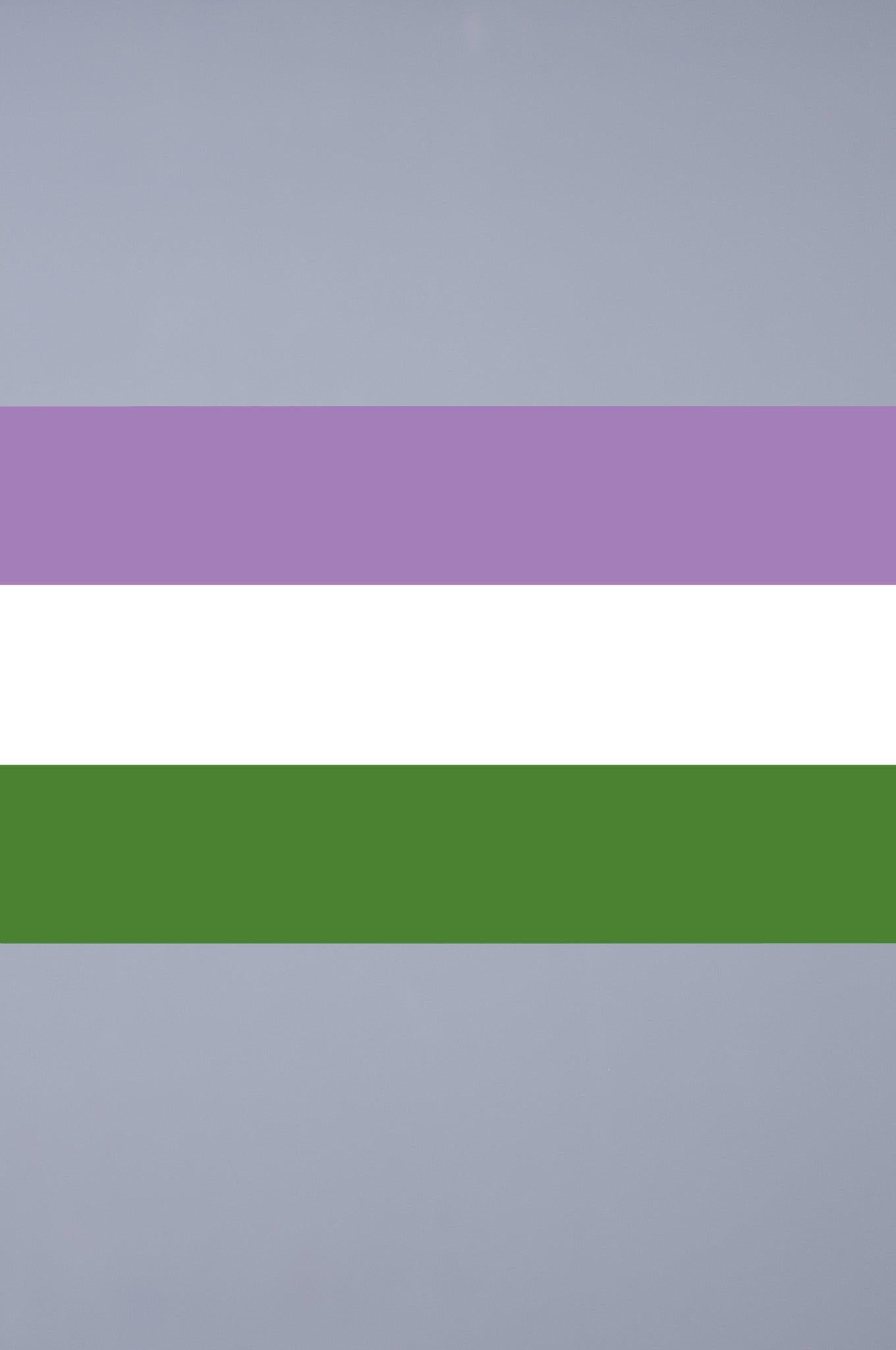 Pride Flag - Genderqueer - 90 x 150 cm at MR. Riegillio