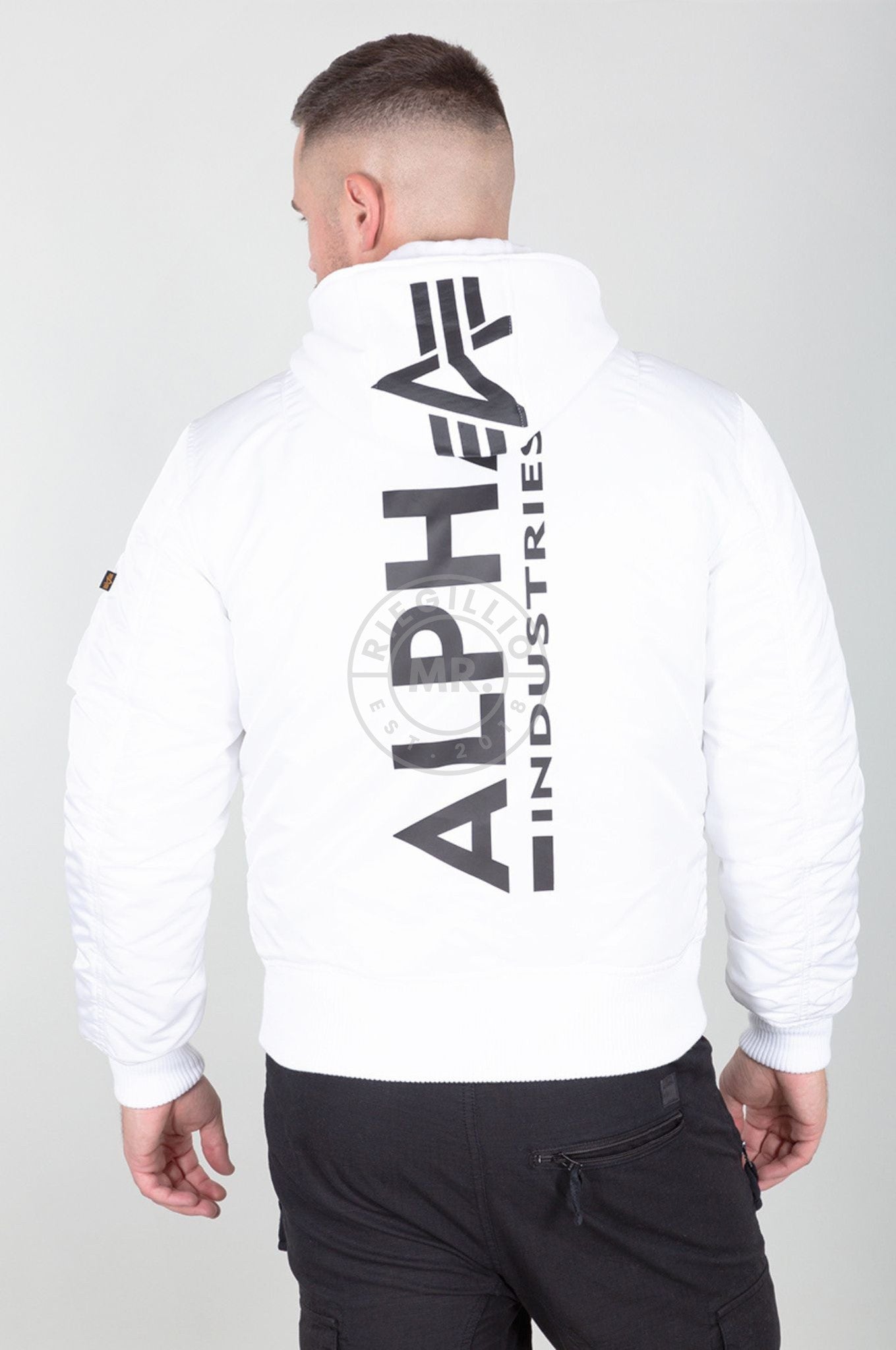Alpha Industries MA-1 ZH Back Print Jacket - White / Black at MR. Riegillio