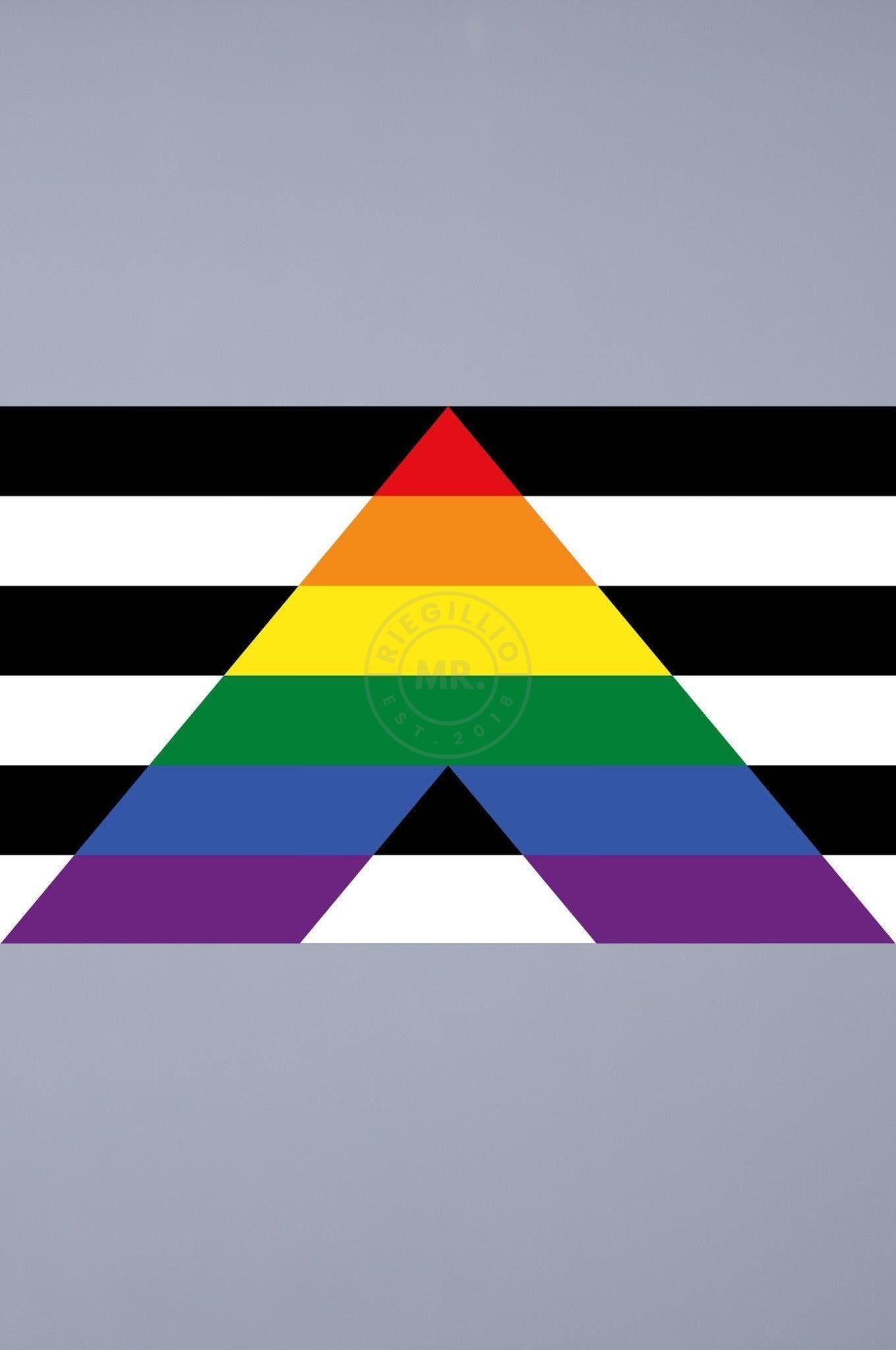 Pride Flag - Ally - 90 x 150 cm at MR. Riegillio