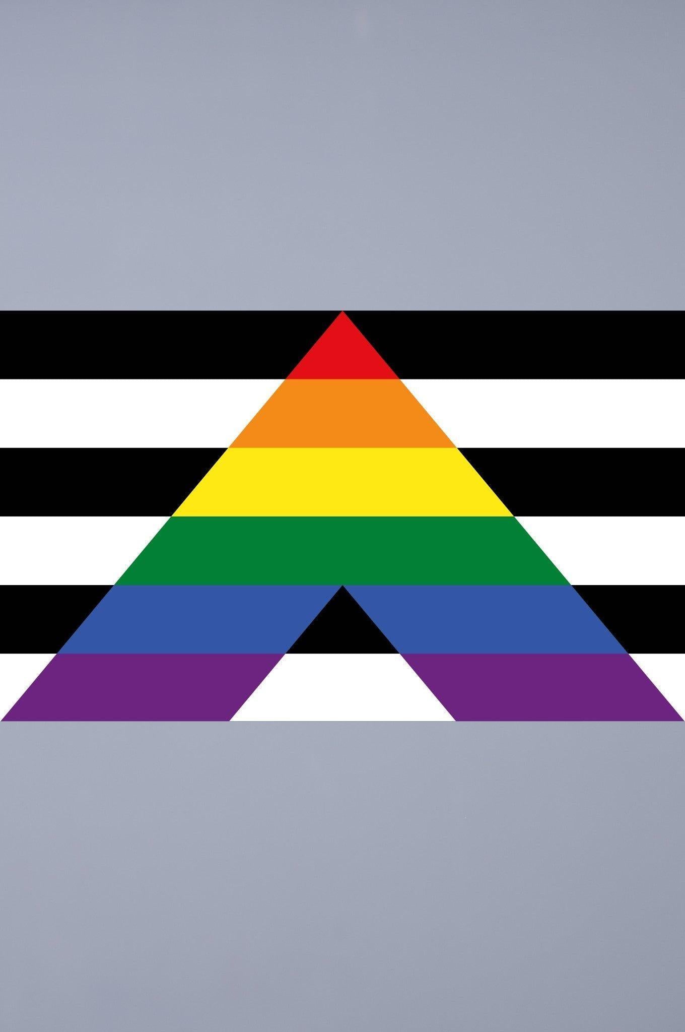 Pride Flag - Ally - 90 x 150 cm at MR. Riegillio