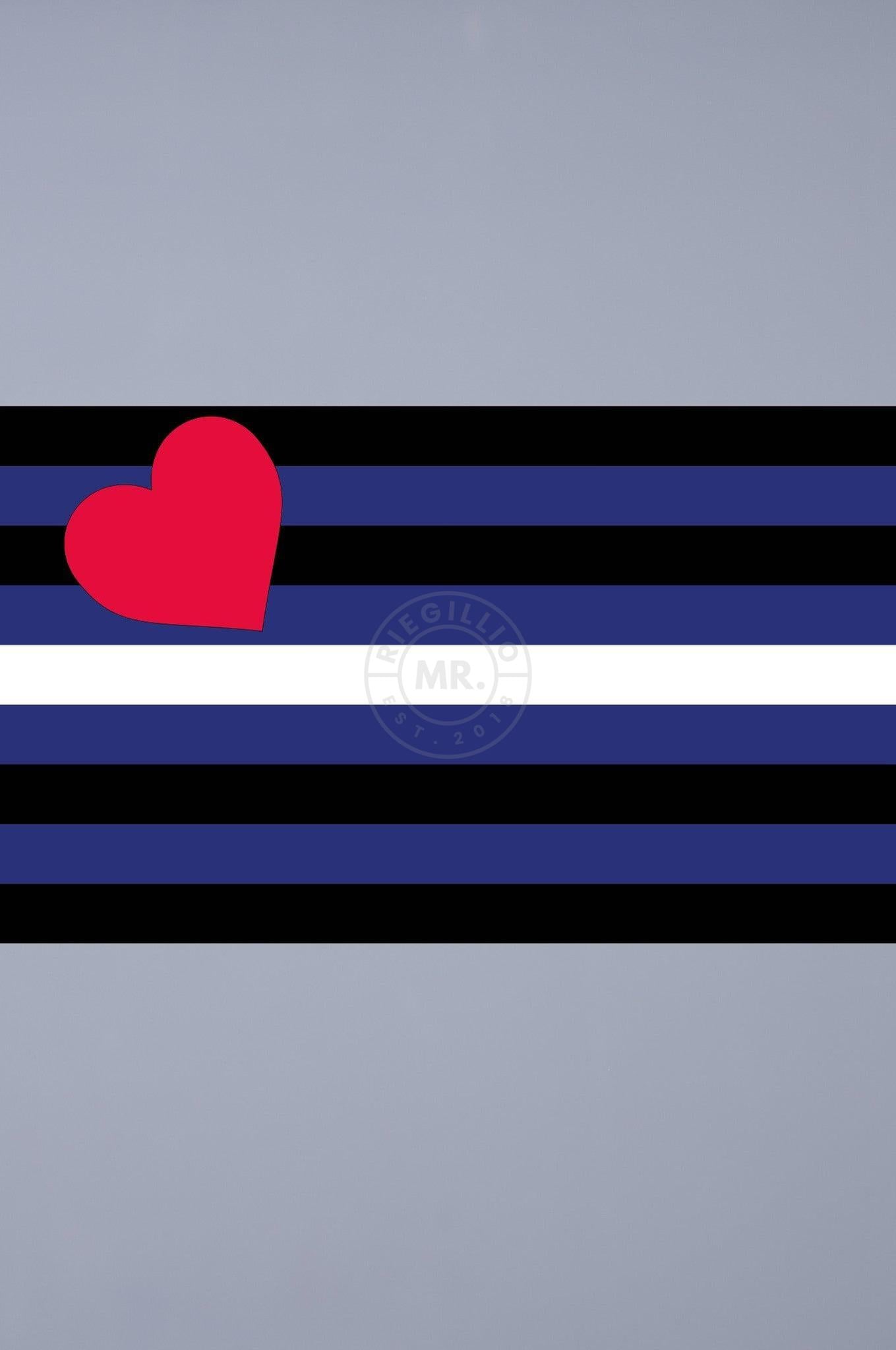 Pride Flag - Leather - 90 x 150 cm at MR. Riegillio