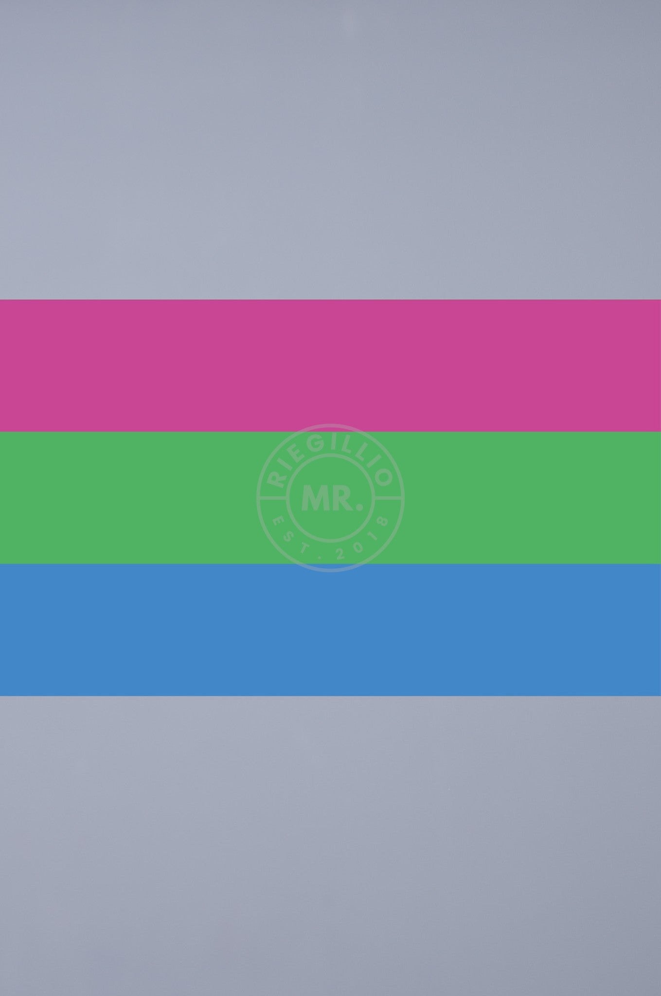 Pride Flag - Polysexual - 90 x 150 cm at MR. Riegillio