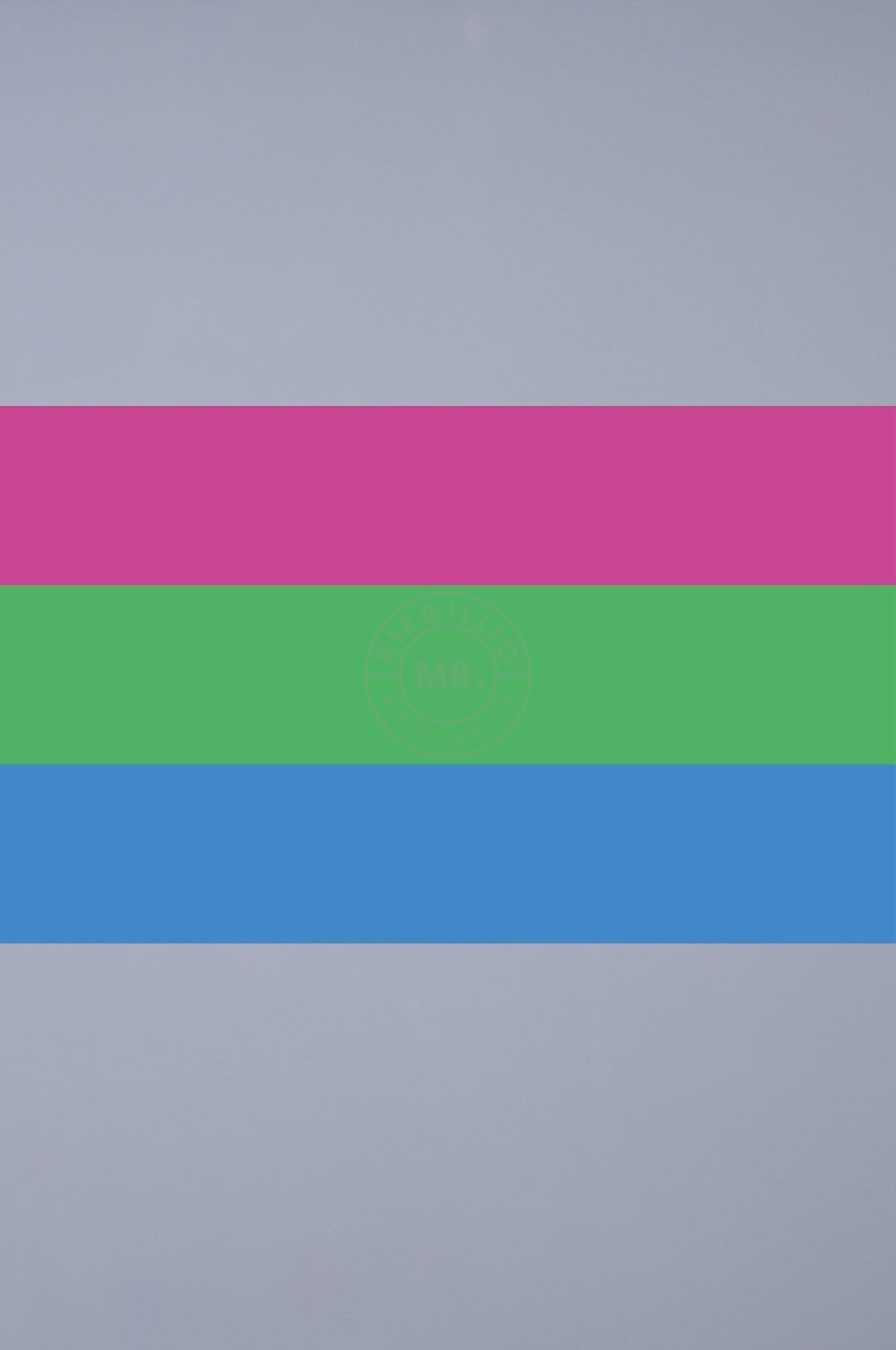 Pride Flag - Polysexual - 90 x 150 cm at MR. Riegillio