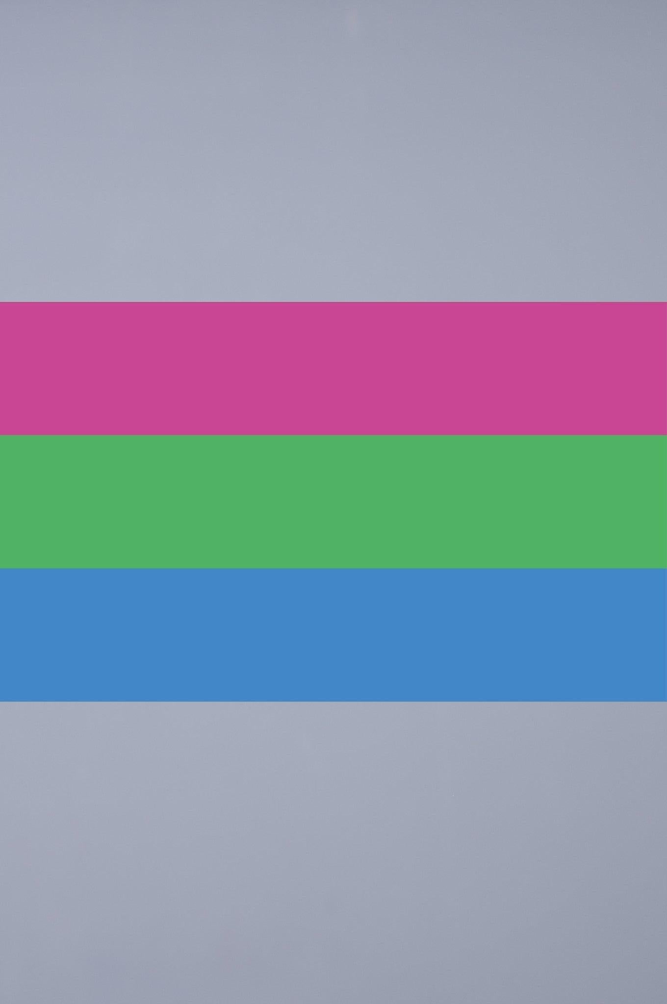 Pride Flag - Polysexual - 90 x 150 cm at MR. Riegillio