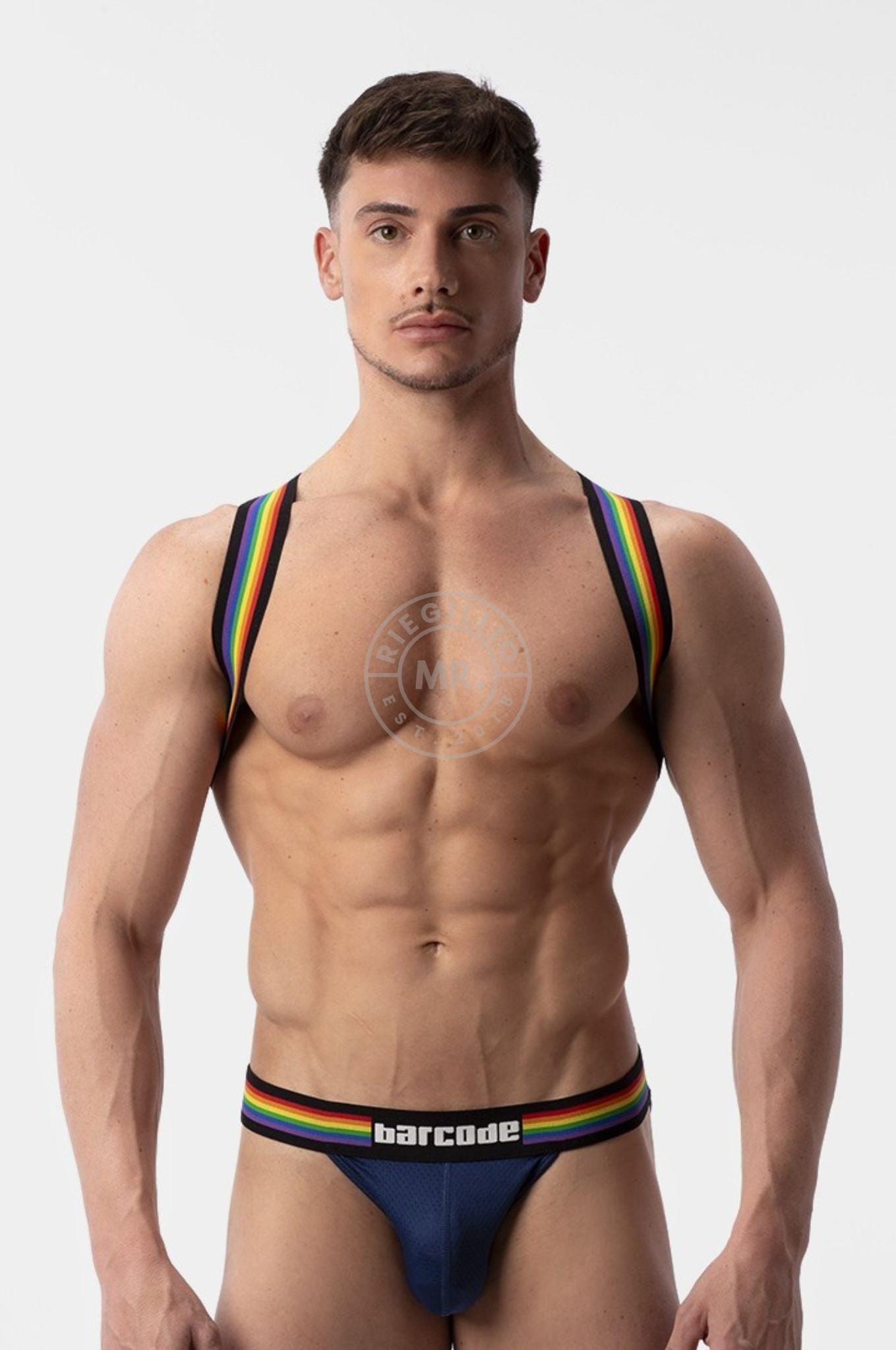 Barcode Harness Pride Eternity at MR. Riegillio