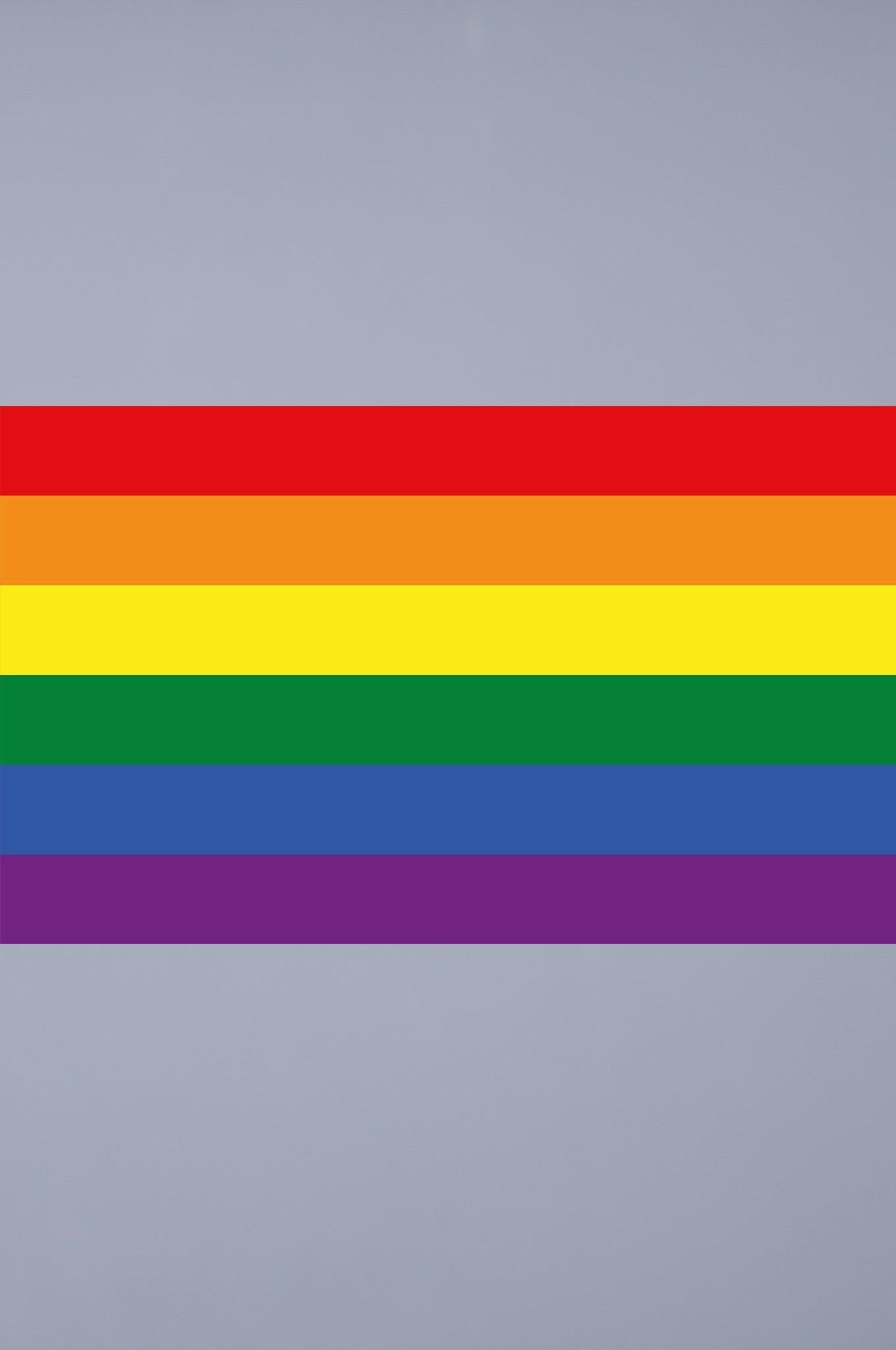 Pride Flag - Rainbow - 60 x 100 cm at MR. Riegillio