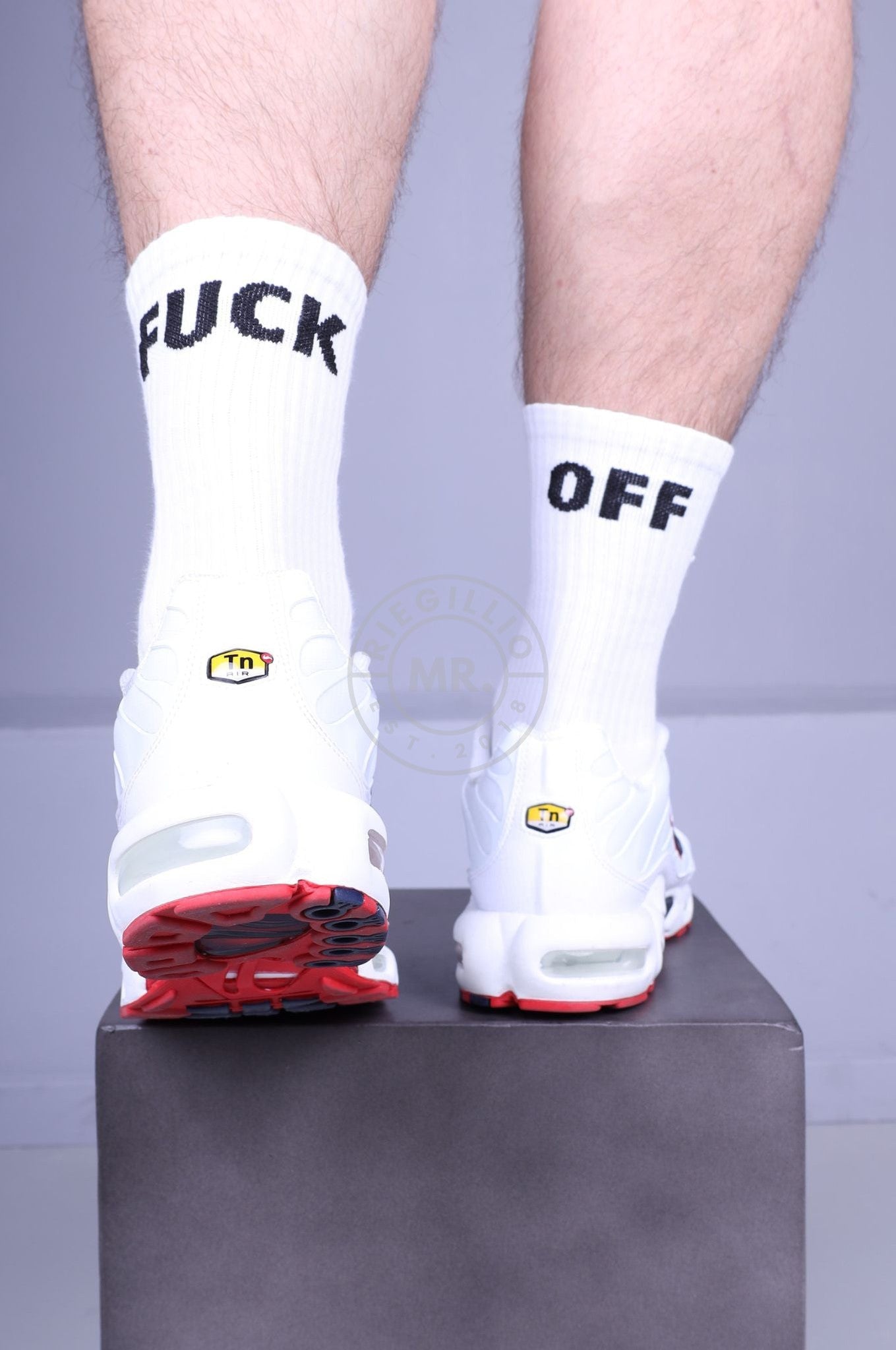SNKRFTSH Socks - FUCK OFF-at MR. Riegillio