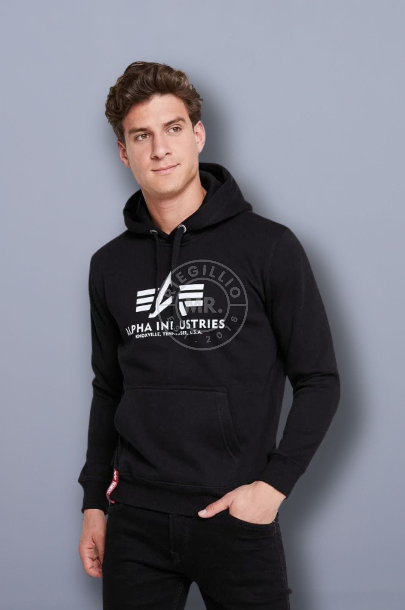 Alpha Industries Basic Hoody Black-at MR. Riegillio