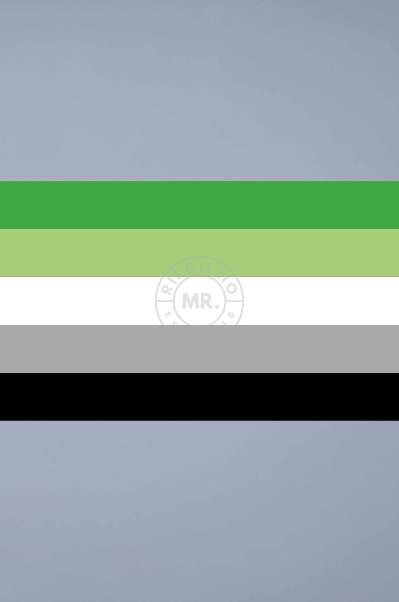 Pride Flag - Aromantic - 90 x 150 cm at MR. Riegillio
