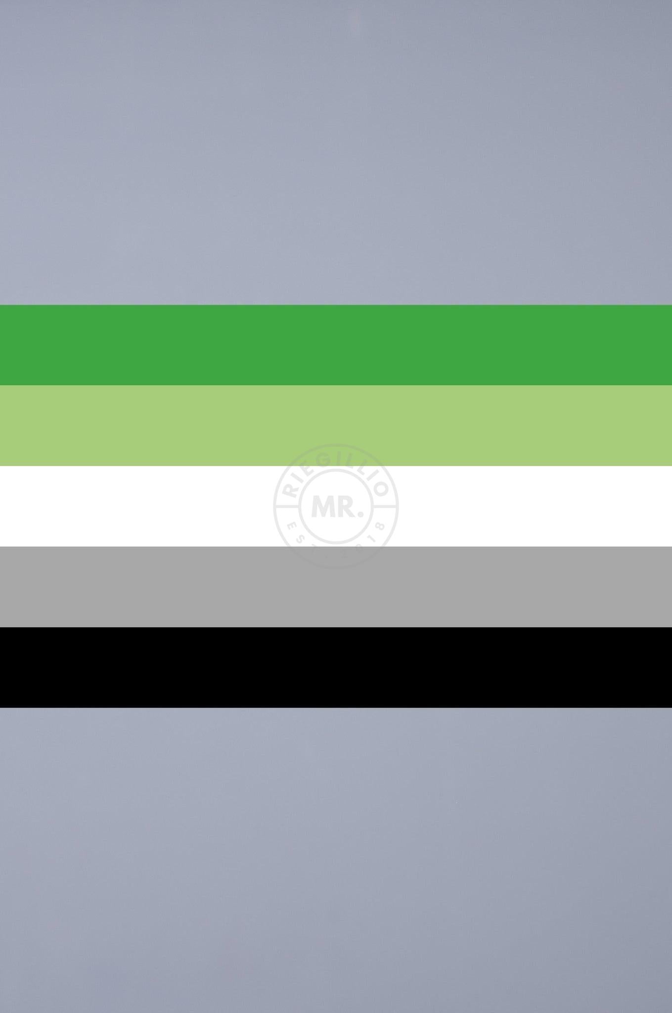 Pride Flag - Aromantic - 90 x 150 cm at MR. Riegillio
