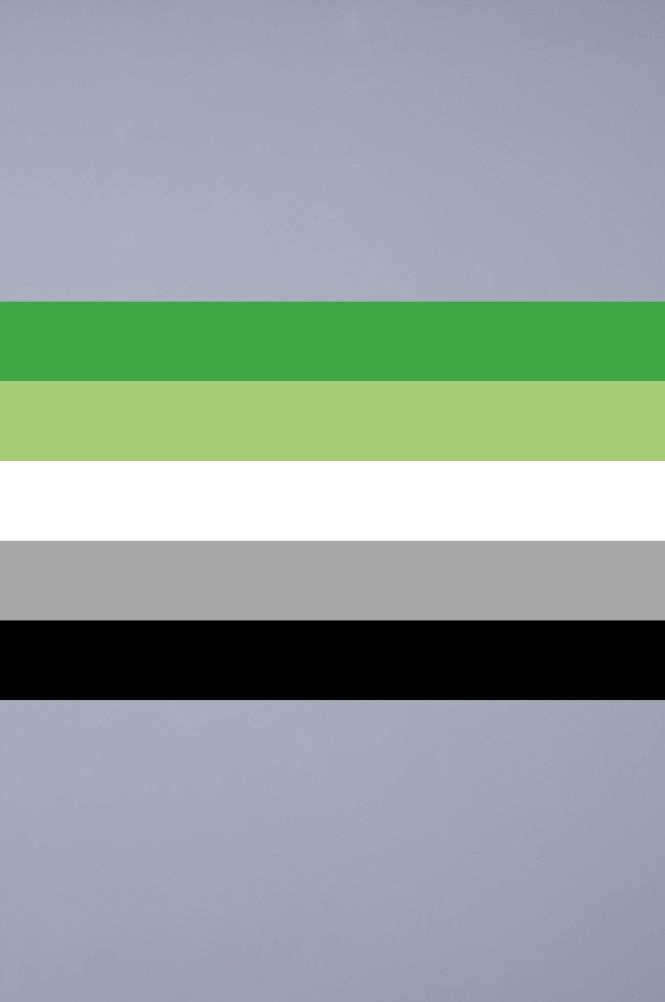 Pride Flag - Aromantic - 90 x 150 cm at MR. Riegillio
