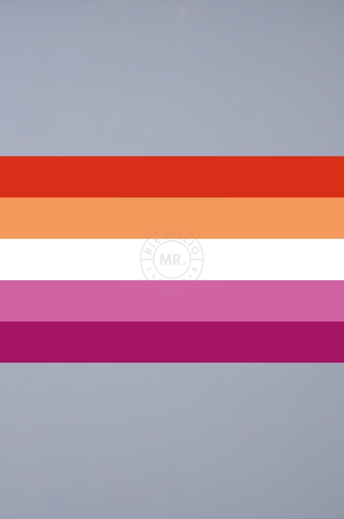 Pride Flag - Lesbian - 90 x 150 cm at MR. Riegillio