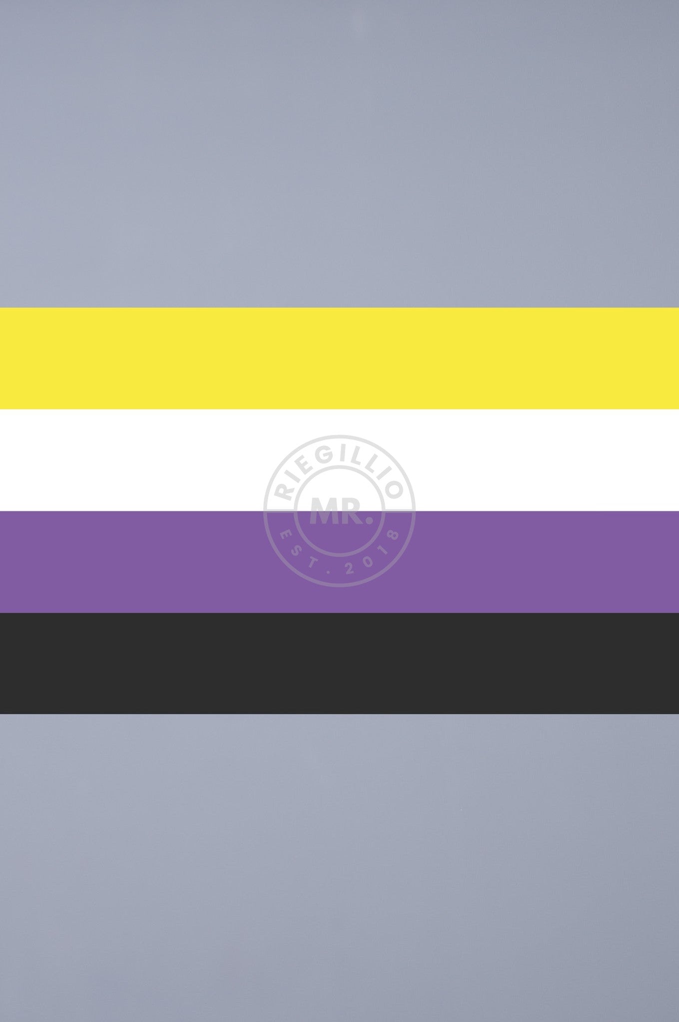 Pride Flag - Non-Binary - 90 x 150 cm at MR. Riegillio