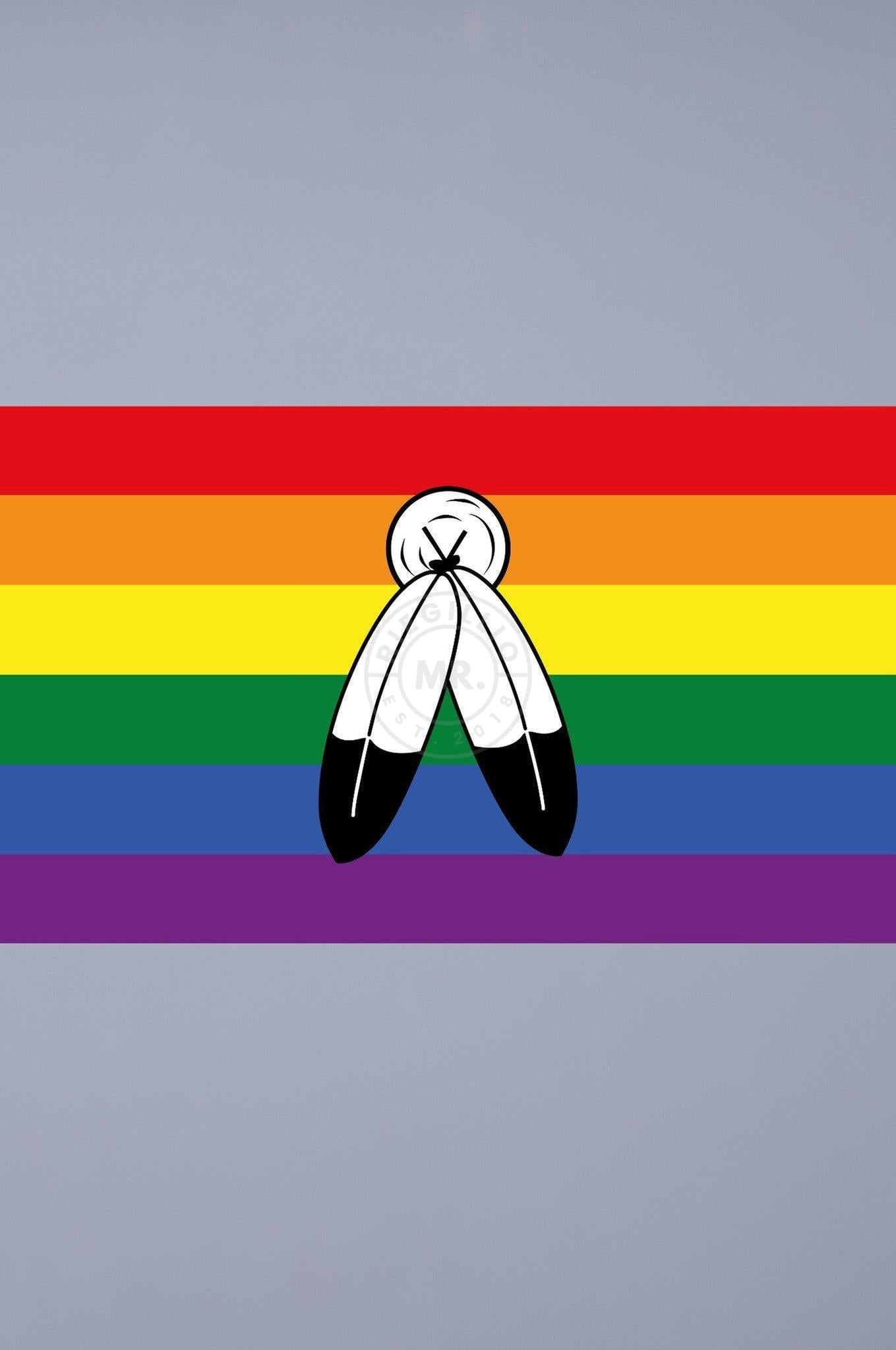 Pride Flag - Two-Spirits - 90 x 150 cm at MR. Riegillio