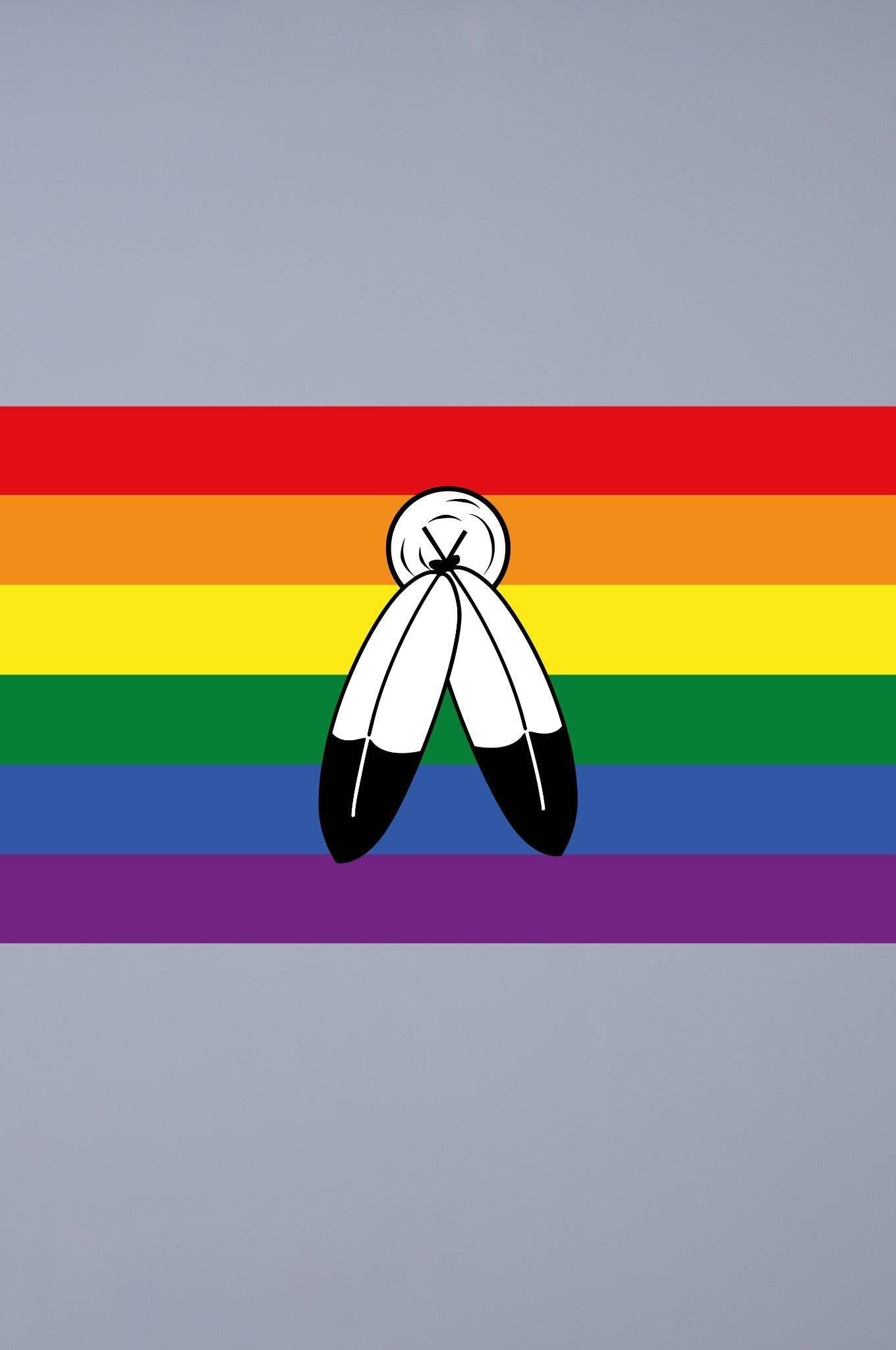 Pride Flag - Two-Spirits - 90 x 150 cm at MR. Riegillio