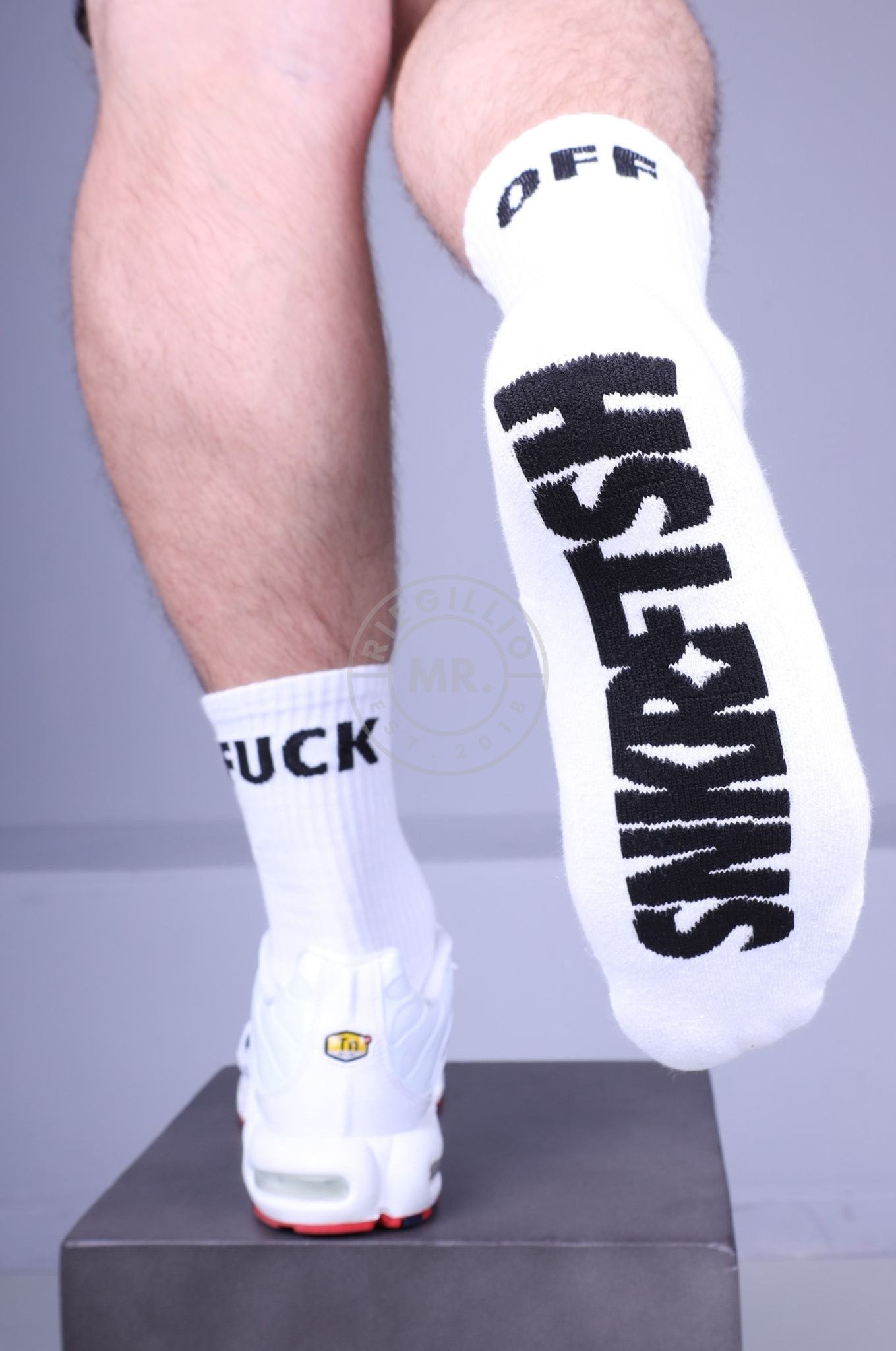 SNKRFTSH Socks - FUCK OFF-at MR. Riegillio