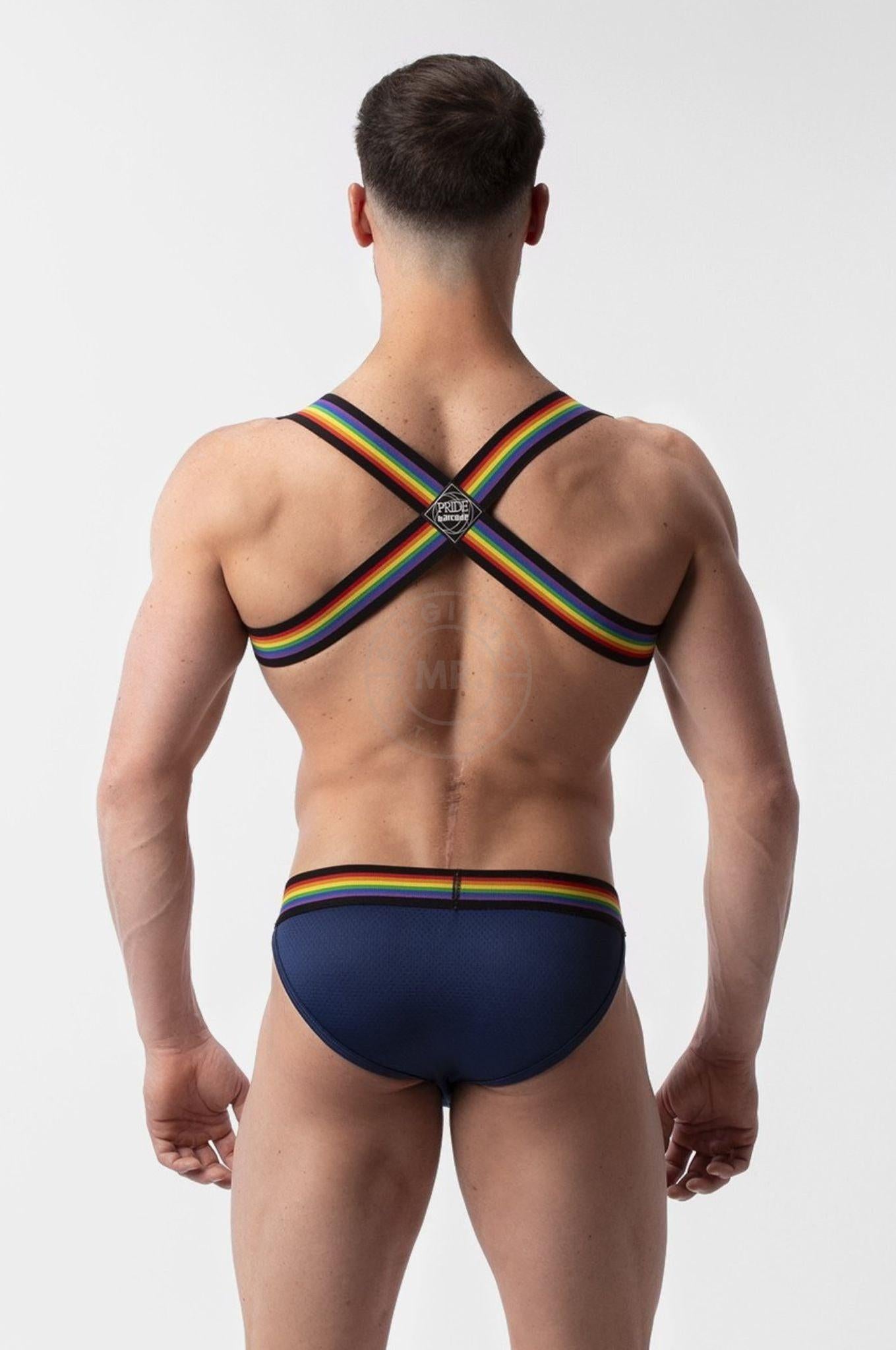 Barcode Harness Pride Eternity at MR. Riegillio