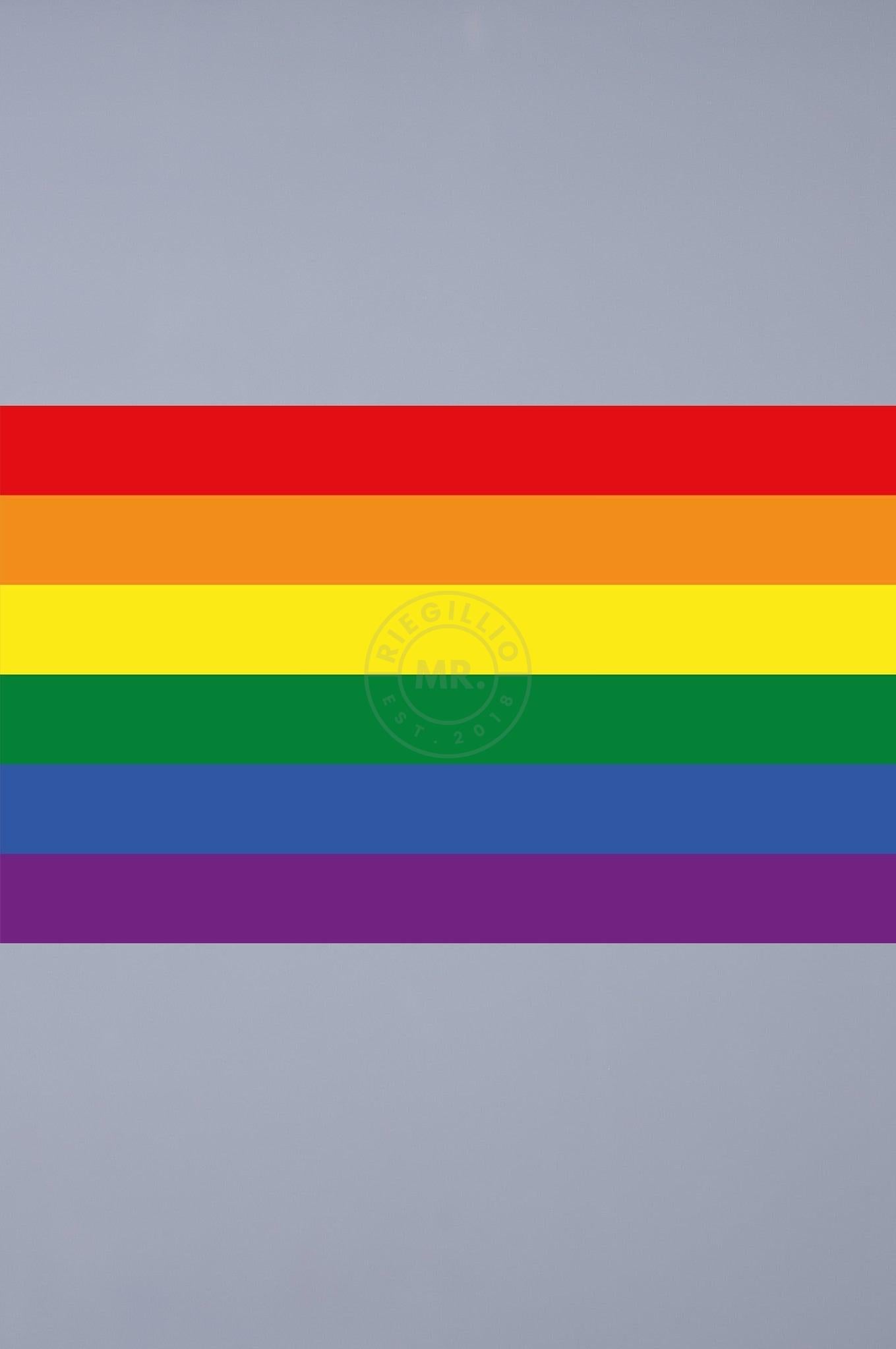 Pride Flag - Rainbow - 90 x 150 cm at MR. Riegillio