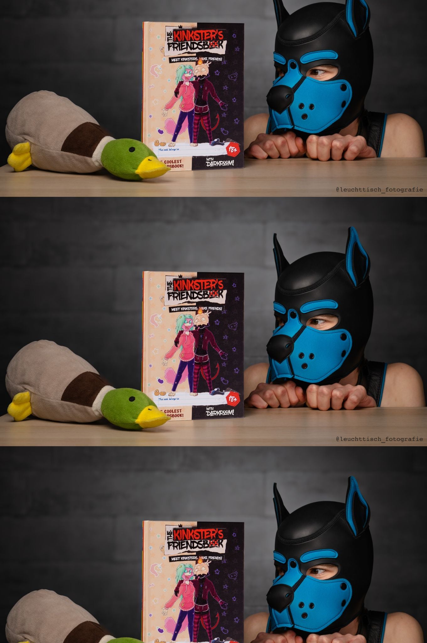 The Kinkster's Friendsbook - ENGLISH