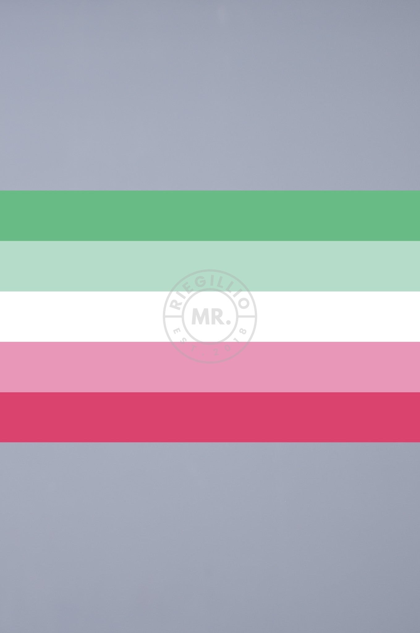 Pride Flag - Abrosexual - 90 x 150 cm at MR. Riegillio
