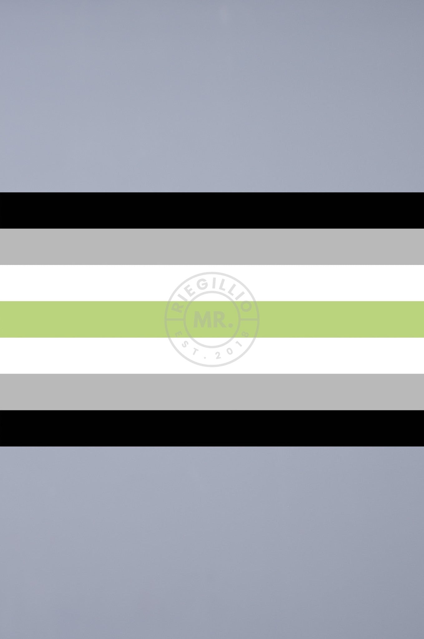 Pride Flag - Agender - 90 x 150 cm at MR. Riegillio