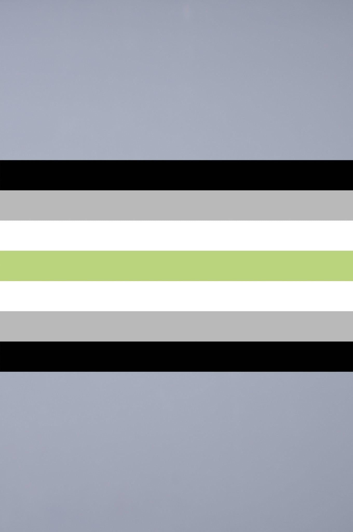 Pride Flag - Agender - 90 x 150 cm at MR. Riegillio