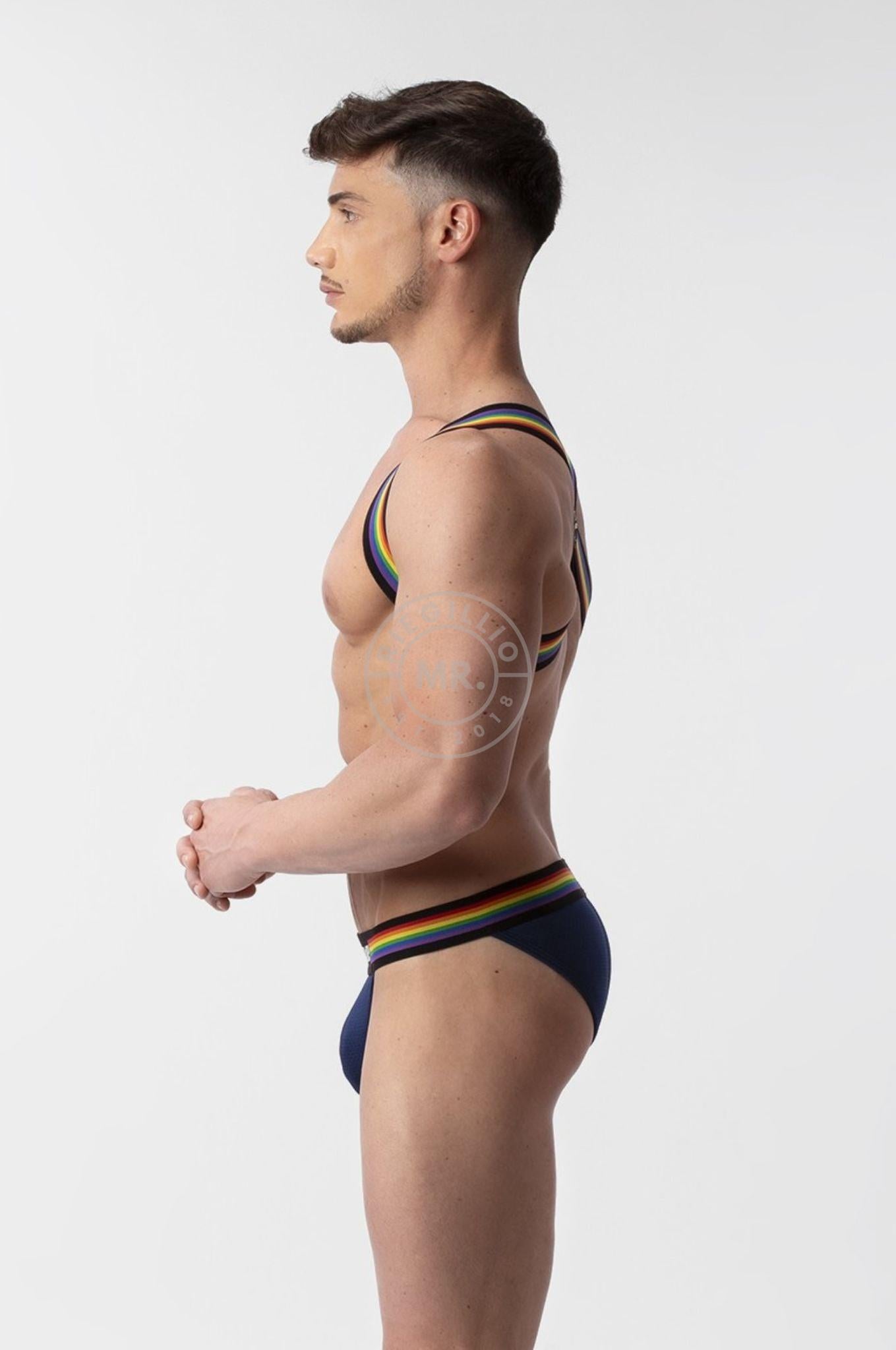 Barcode Harness Pride Eternity at MR. Riegillio