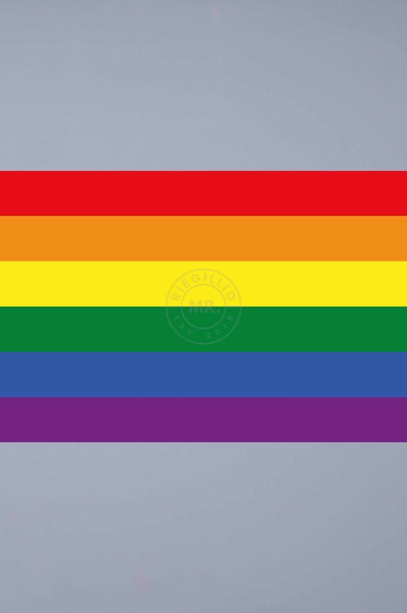 Pride Flag - Rainbow - 120 x 180 cm at MR. Riegillio