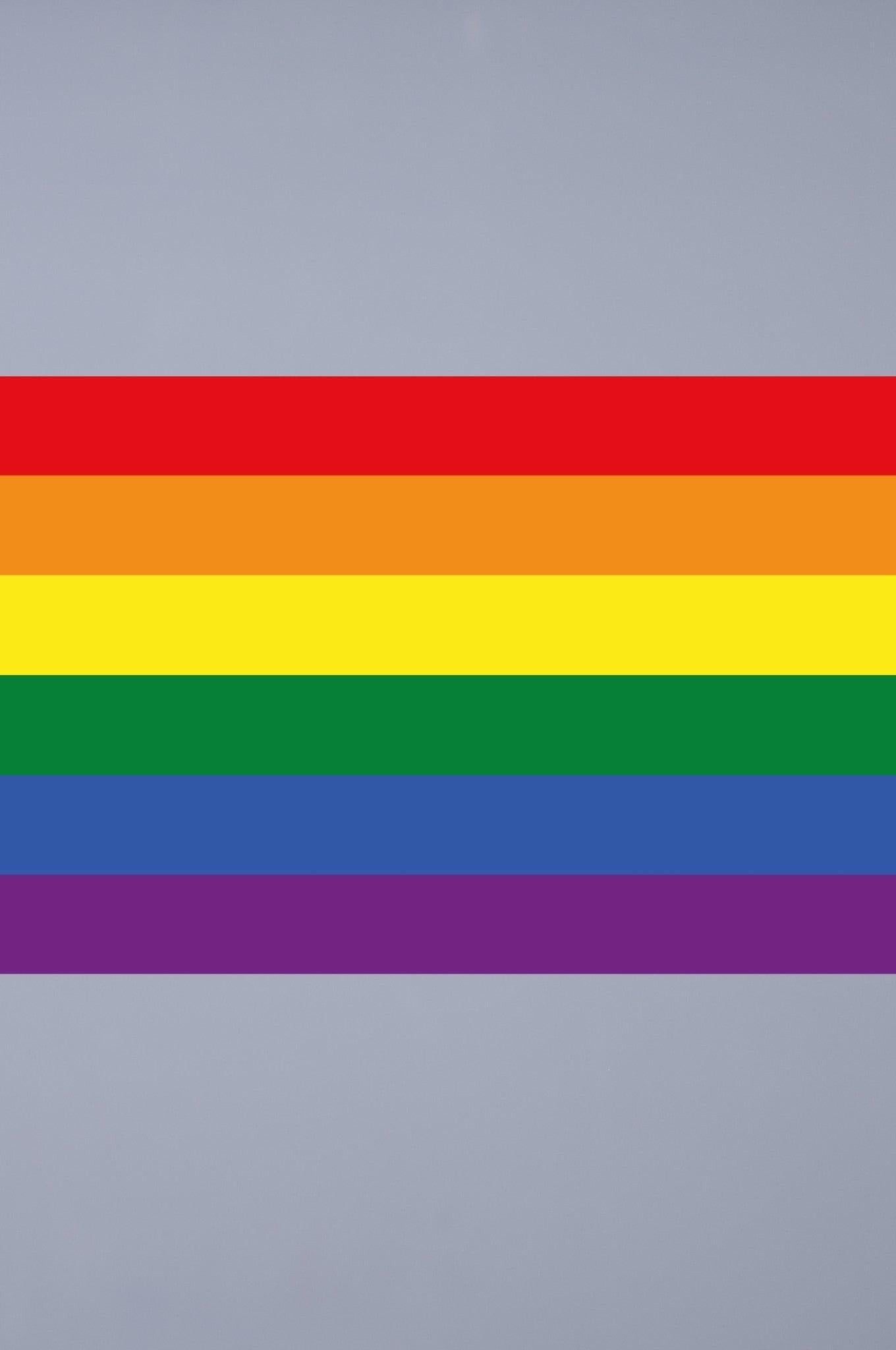 Pride Flag - Rainbow - 120 x 180 cm at MR. Riegillio