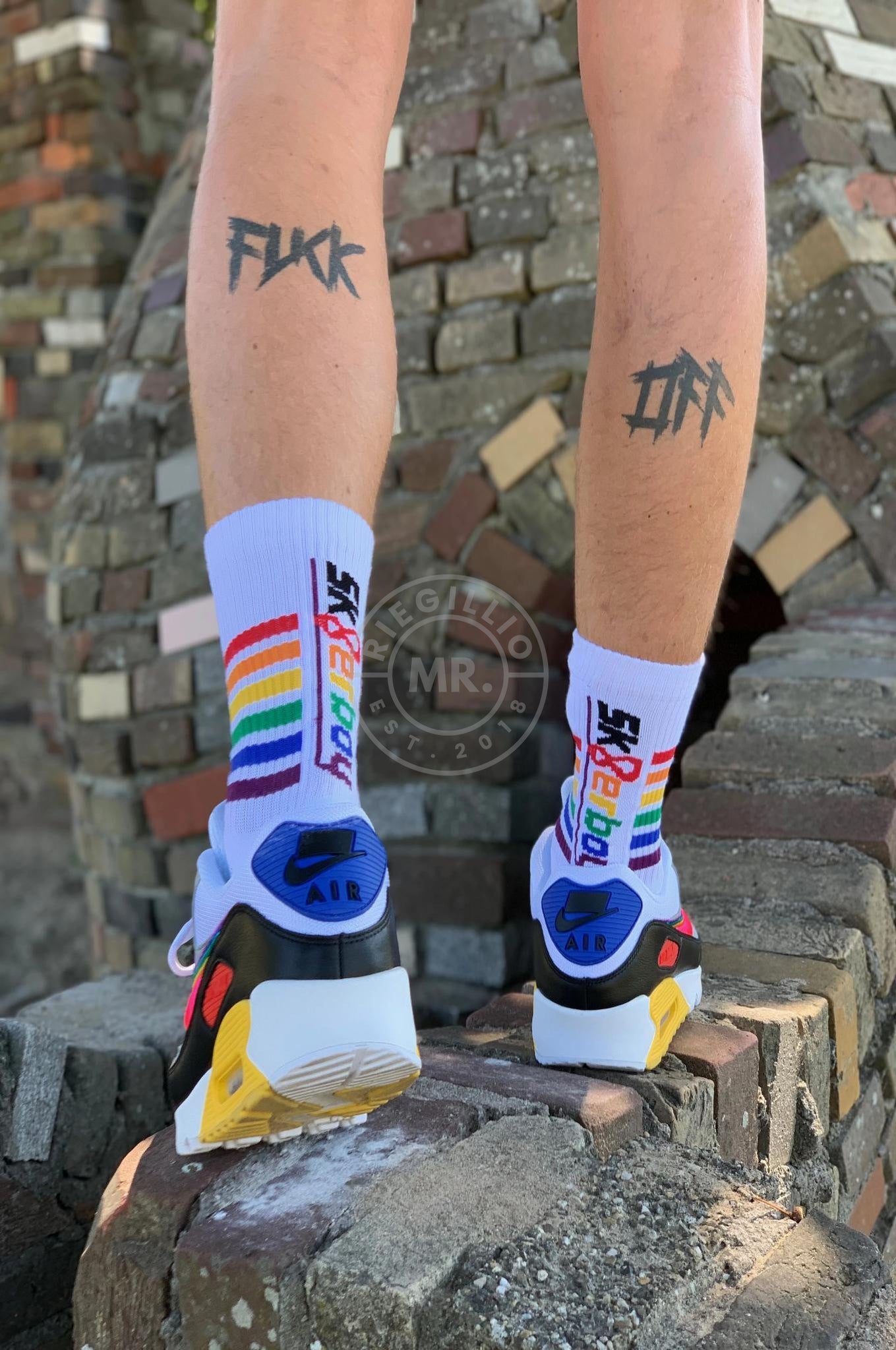Sk8erboy PRIDE Socks at MR. Riegillio