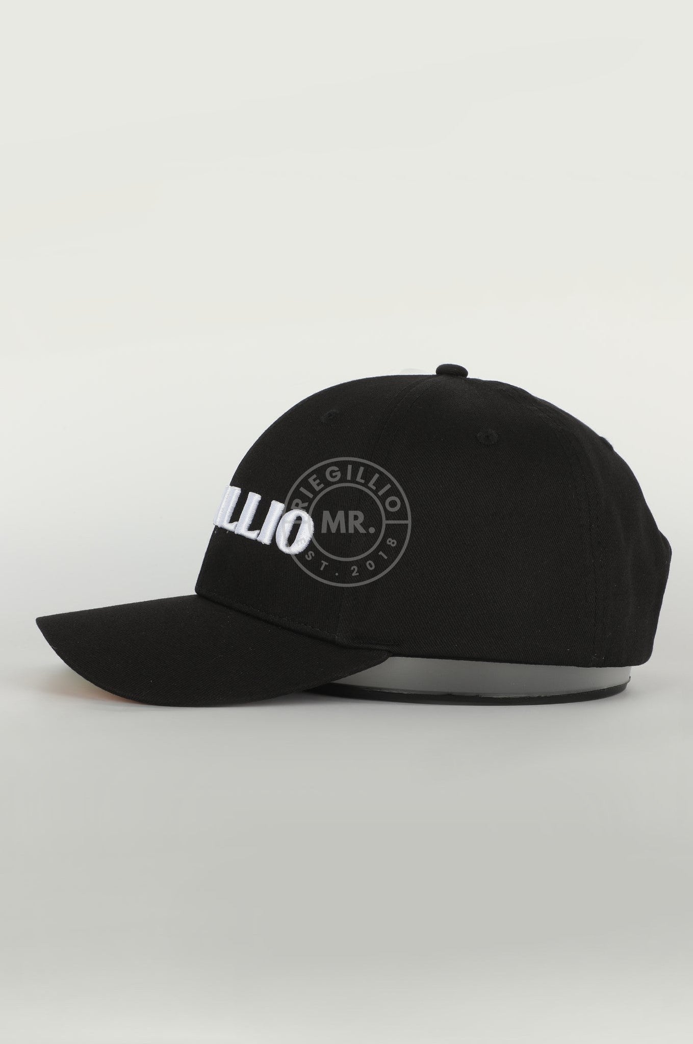 House of Riegillio Pride Cap at MR. Riegillio