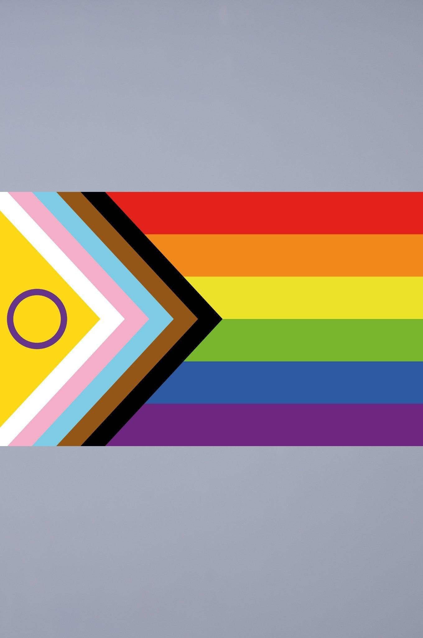 Pride Flag - Intersex-Inclusive - 90 x 150 cm - M at MR. Riegillio
