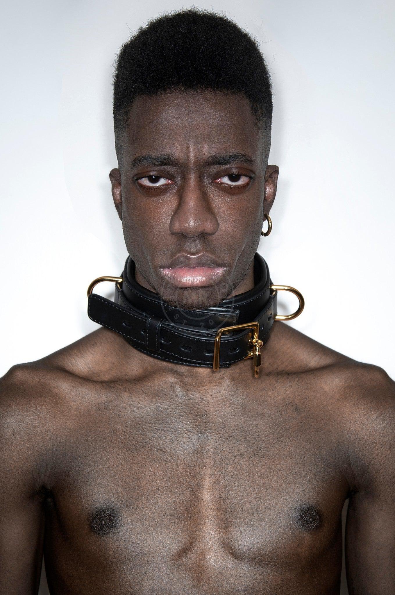 SIRAINER Leather Collar - Gold at MR. Riegillio