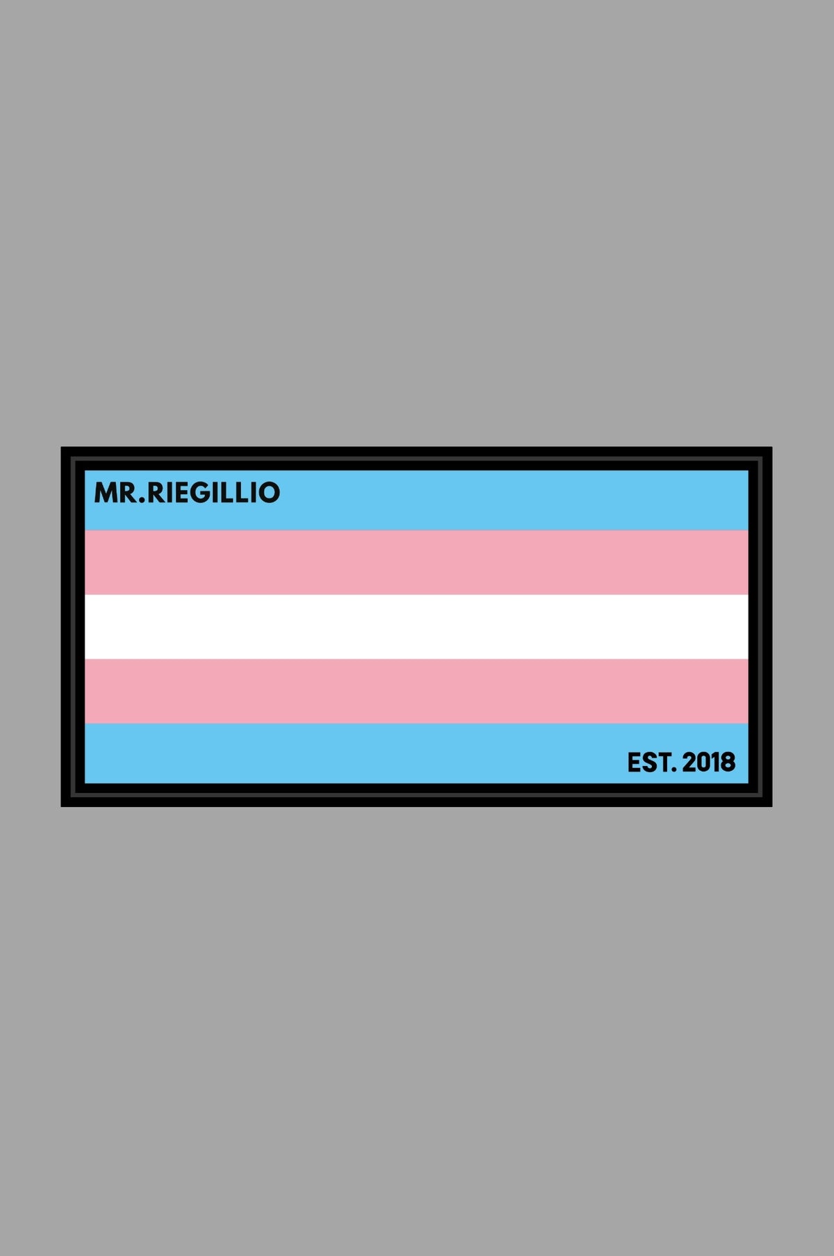 Rubber Velcro Patch - TRANS FLAG