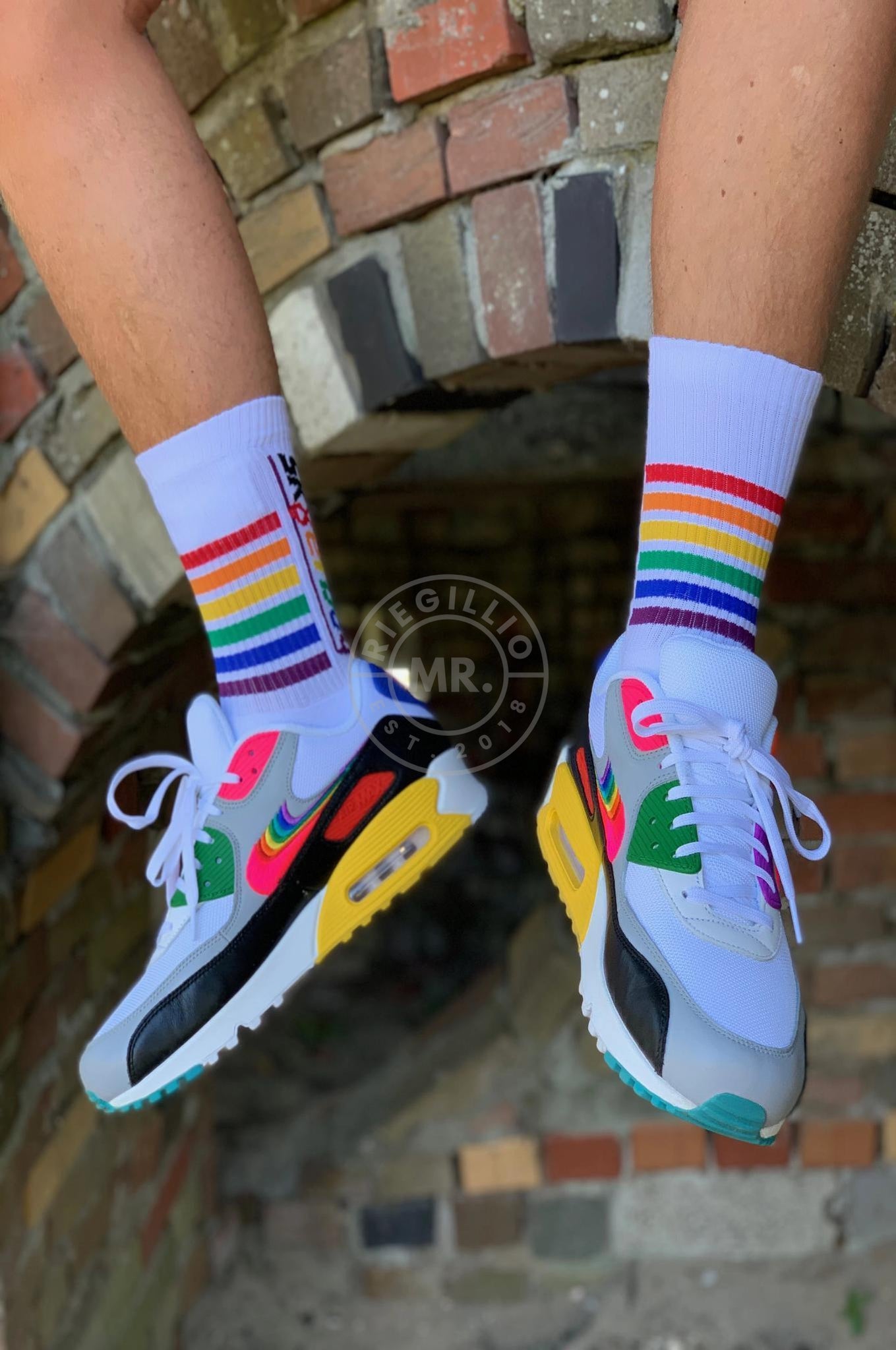 Sk8erboy PRIDE Socks at MR. Riegillio