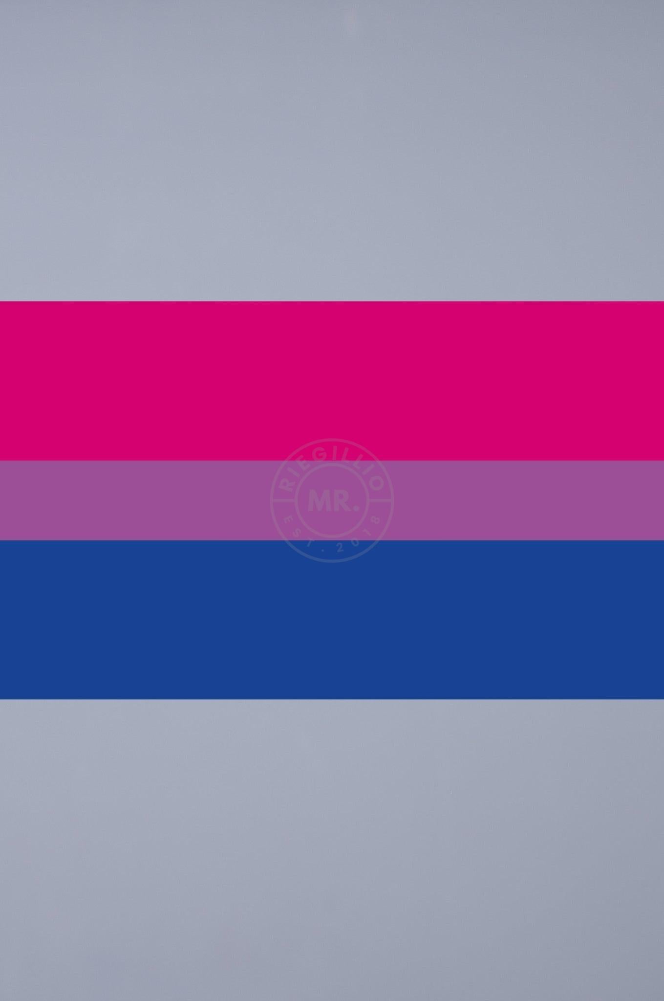 Pride Flag - Bisexual - 90 x 150 cm at MR. Riegillio