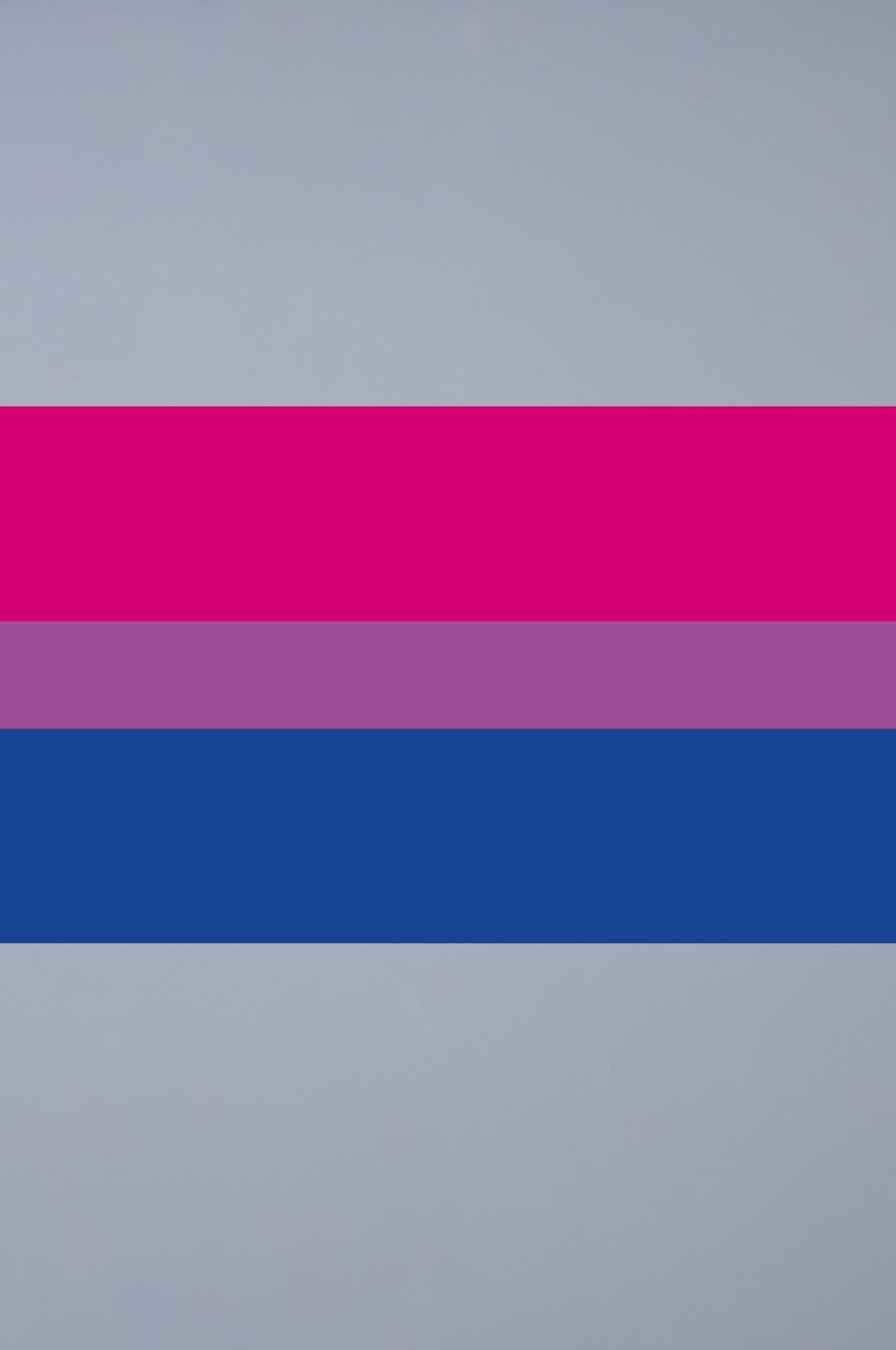 Pride Flag - Bisexual - 90 x 150 cm at MR. Riegillio
