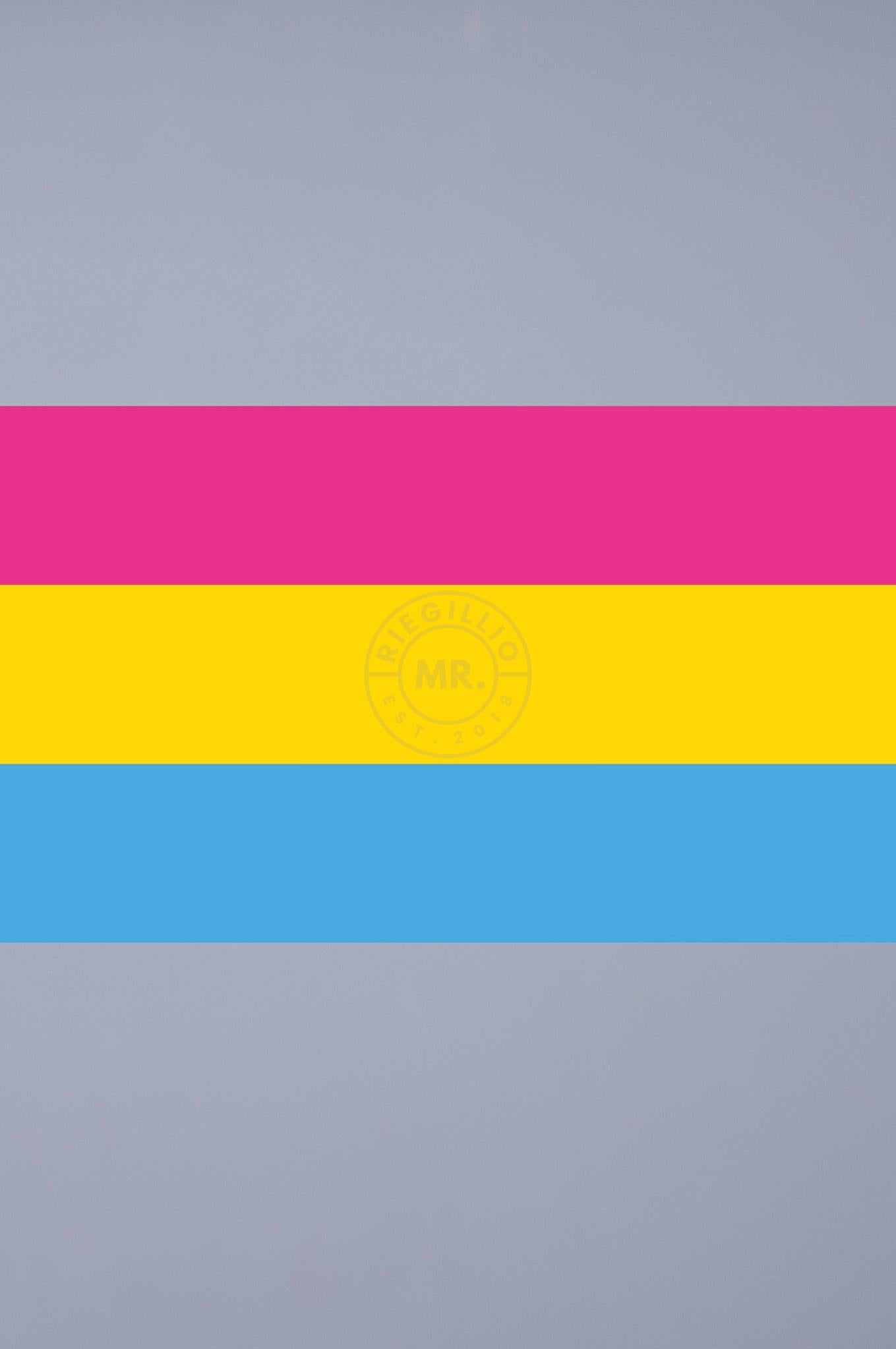 Pride Flag - Pansexual - 90 x 150 cm at MR. Riegillio