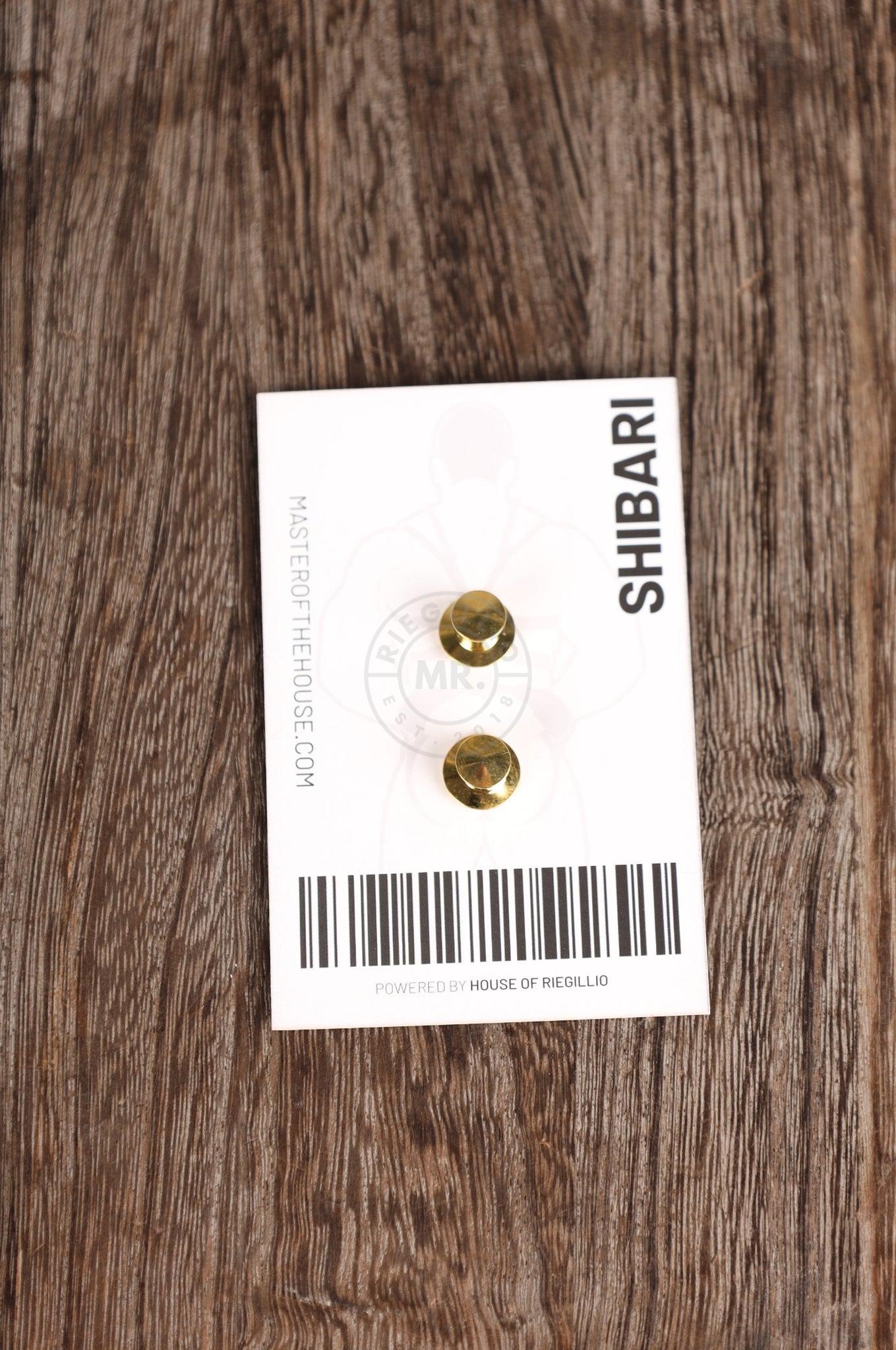 #196 Metal Pin at MR. Riegillio