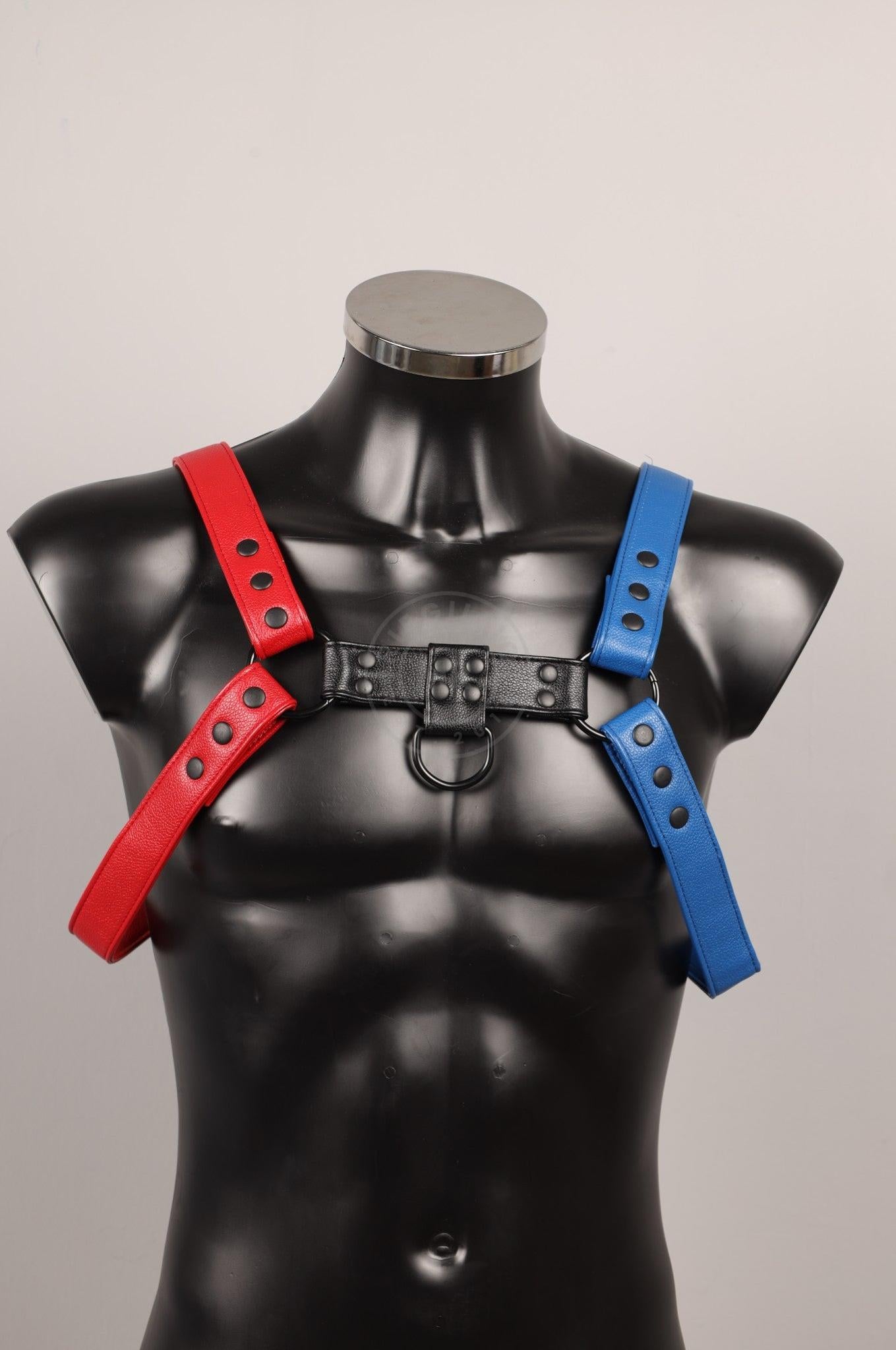 #233 FAUX Leather Harness at MR. Riegillio