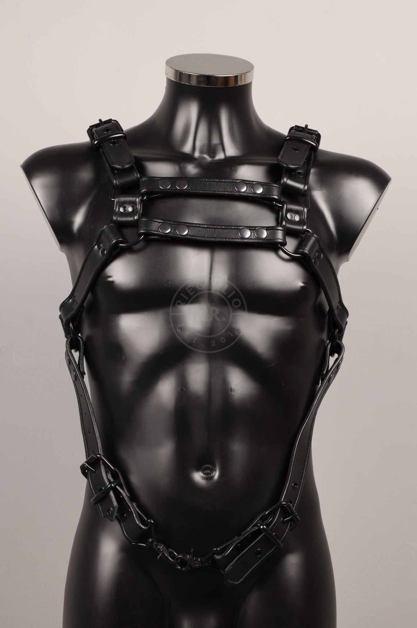 #234 Leather Harness at MR. Riegillio
