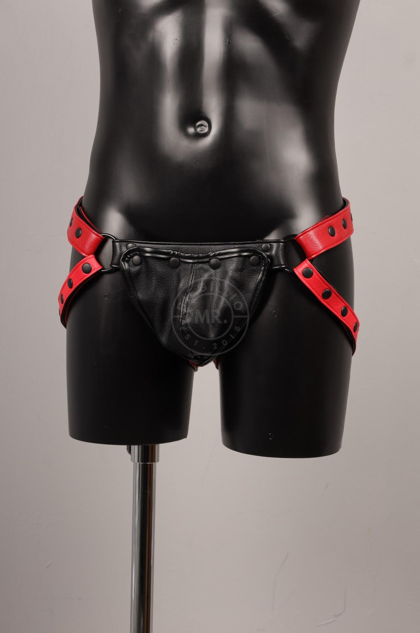 #235 FAUX Leather Harness at MR. Riegillio