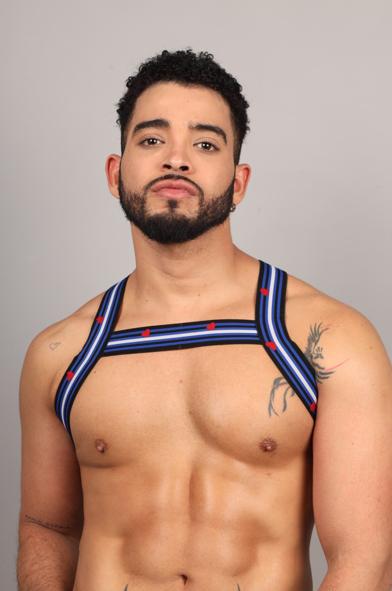 Elastisches Harness - LEDER Flagge