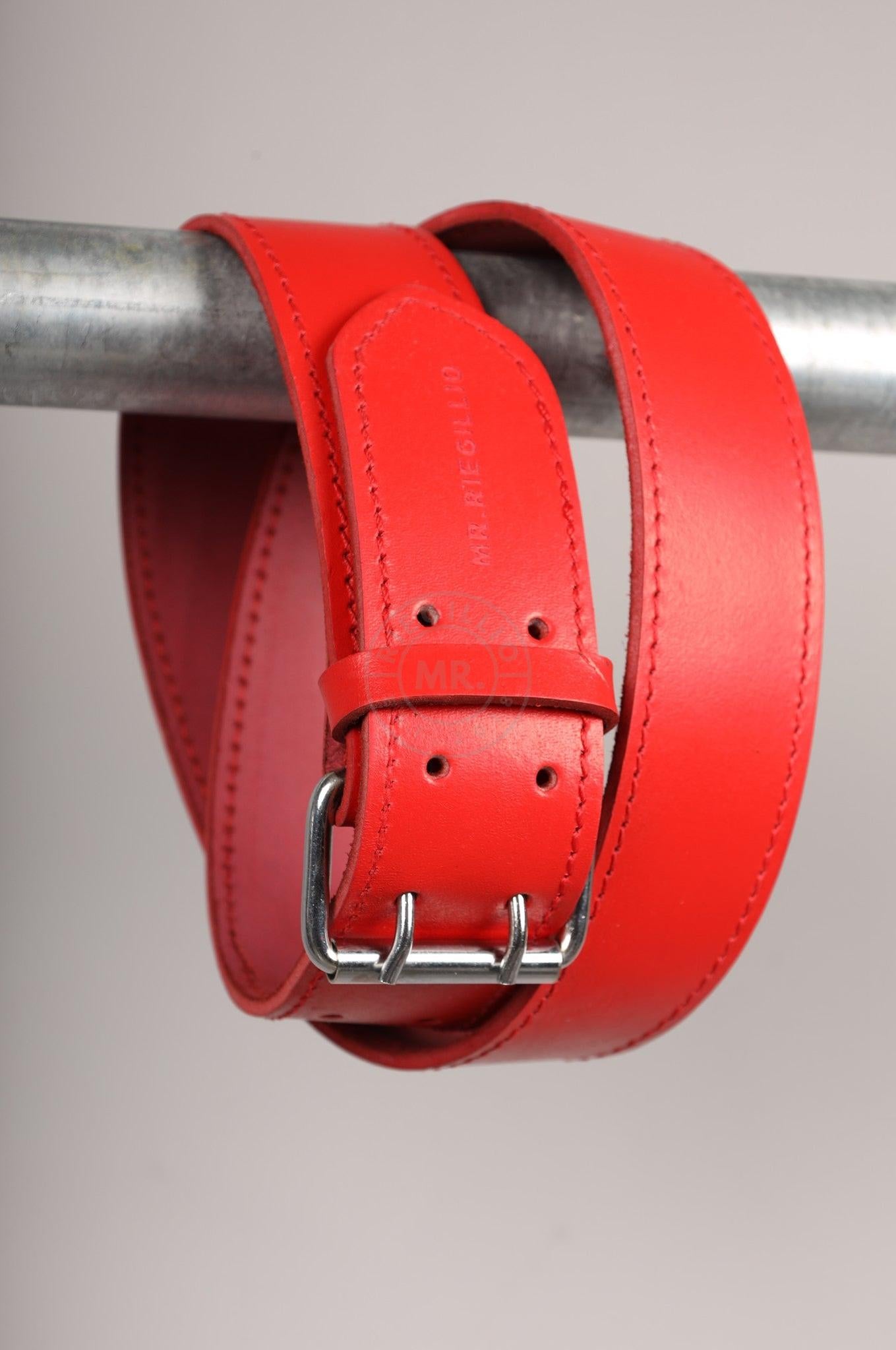 #258 Cowhide Leather Belt at MR. Riegillio
