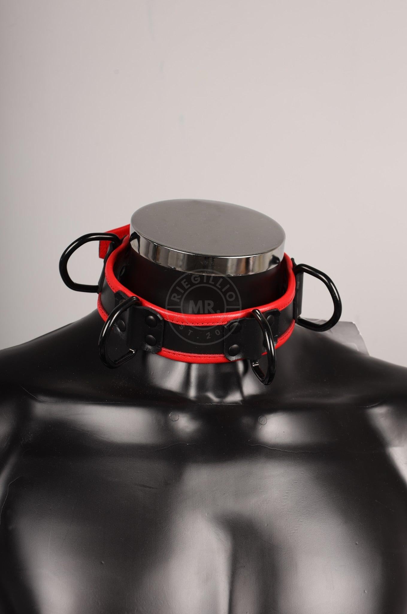 #259 Sheep Leather Collar at MR. Riegillio