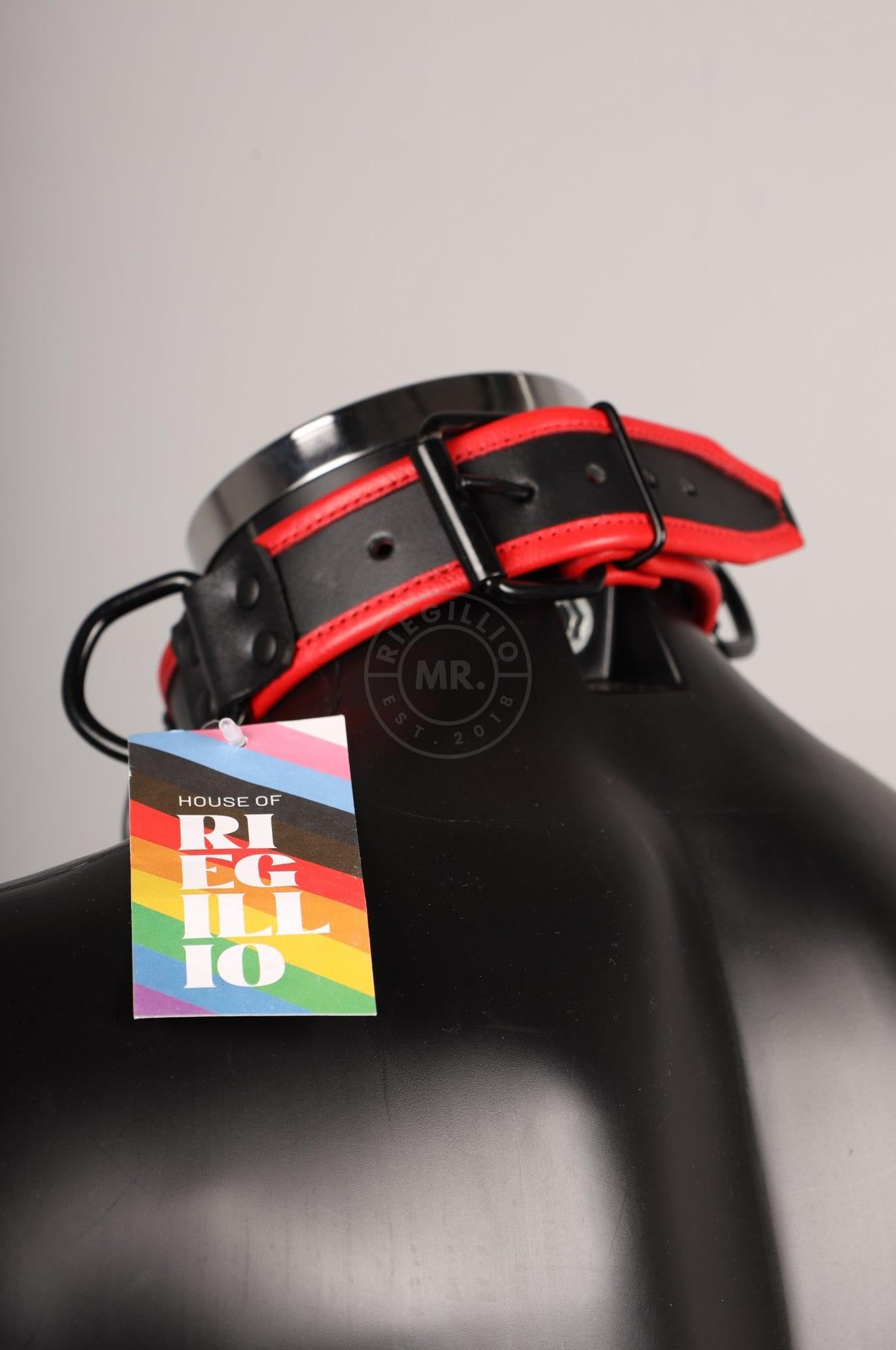 #259 Sheep Leather Collar at MR. Riegillio