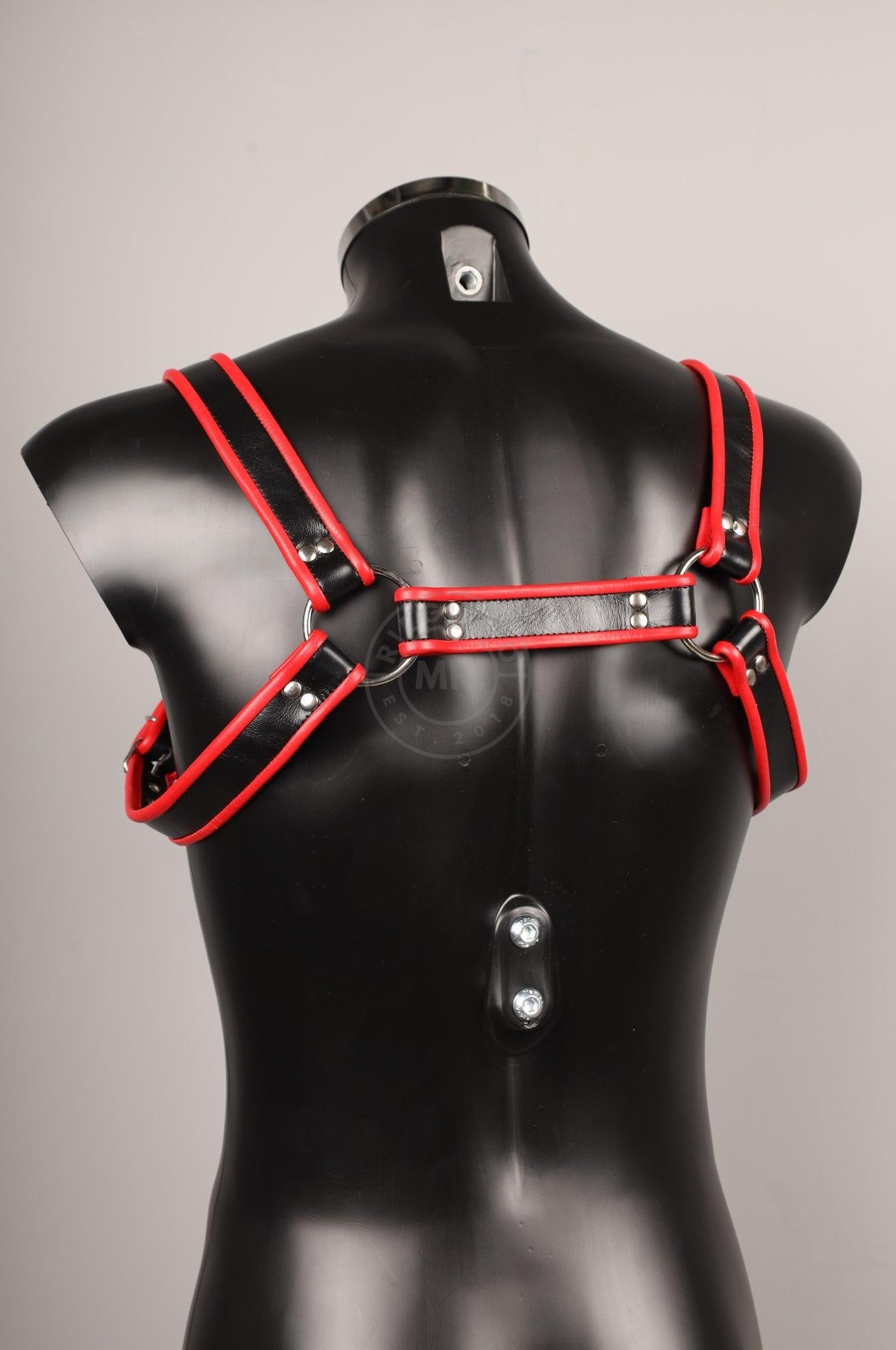 #286 Leather Harness at MR. Riegillio