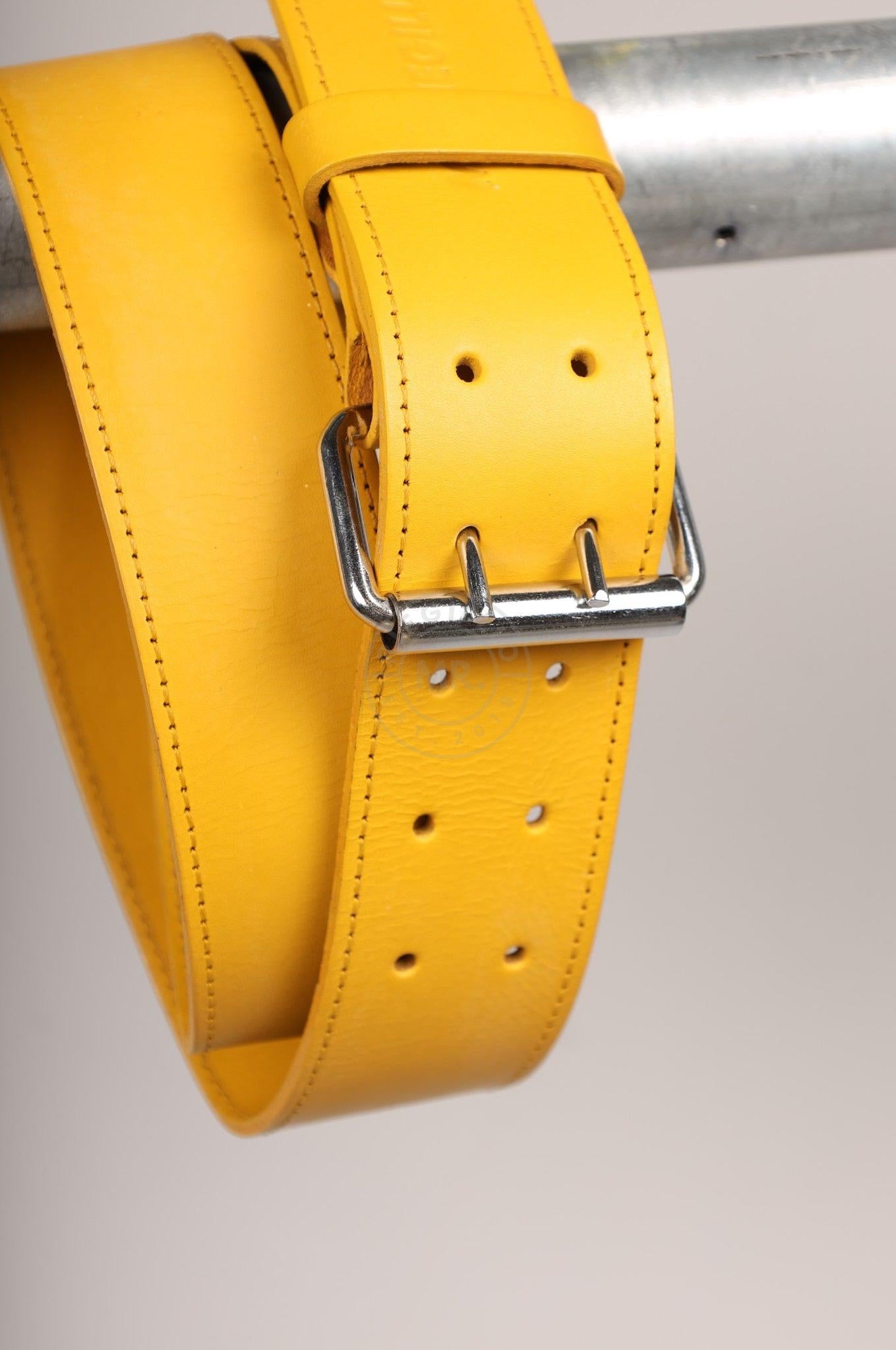 #290 Cowhide Leather Belt at MR. Riegillio