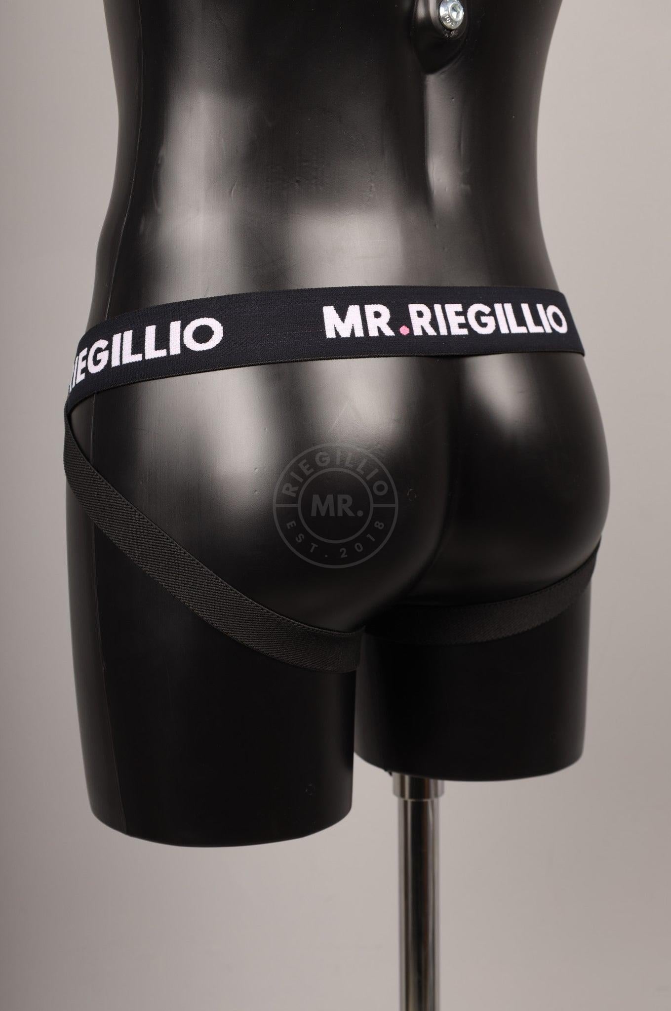 #309 Cowhide Leather Underwear at MR. Riegillio